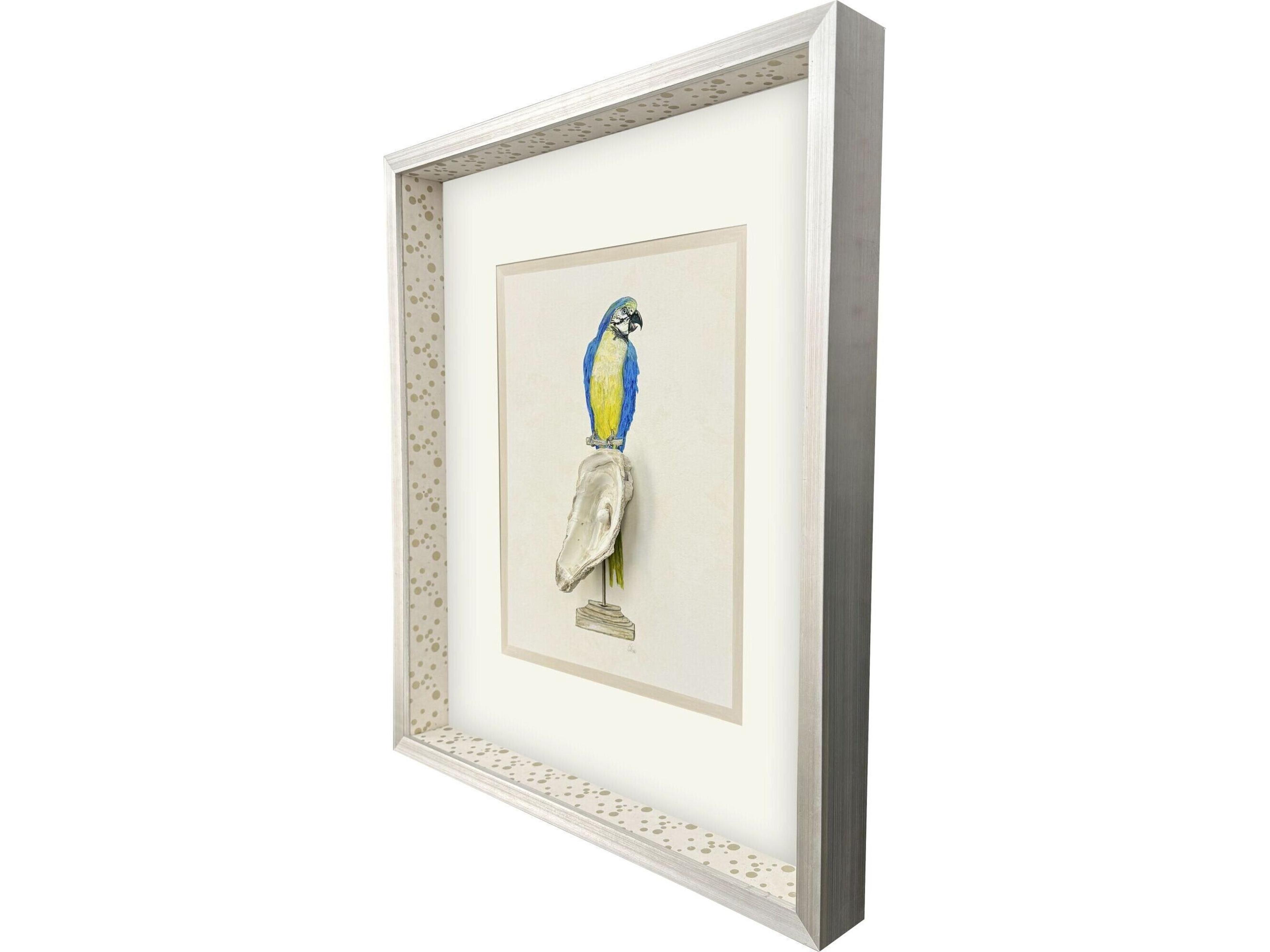 Paragon Treasure Parrot I Framed Art