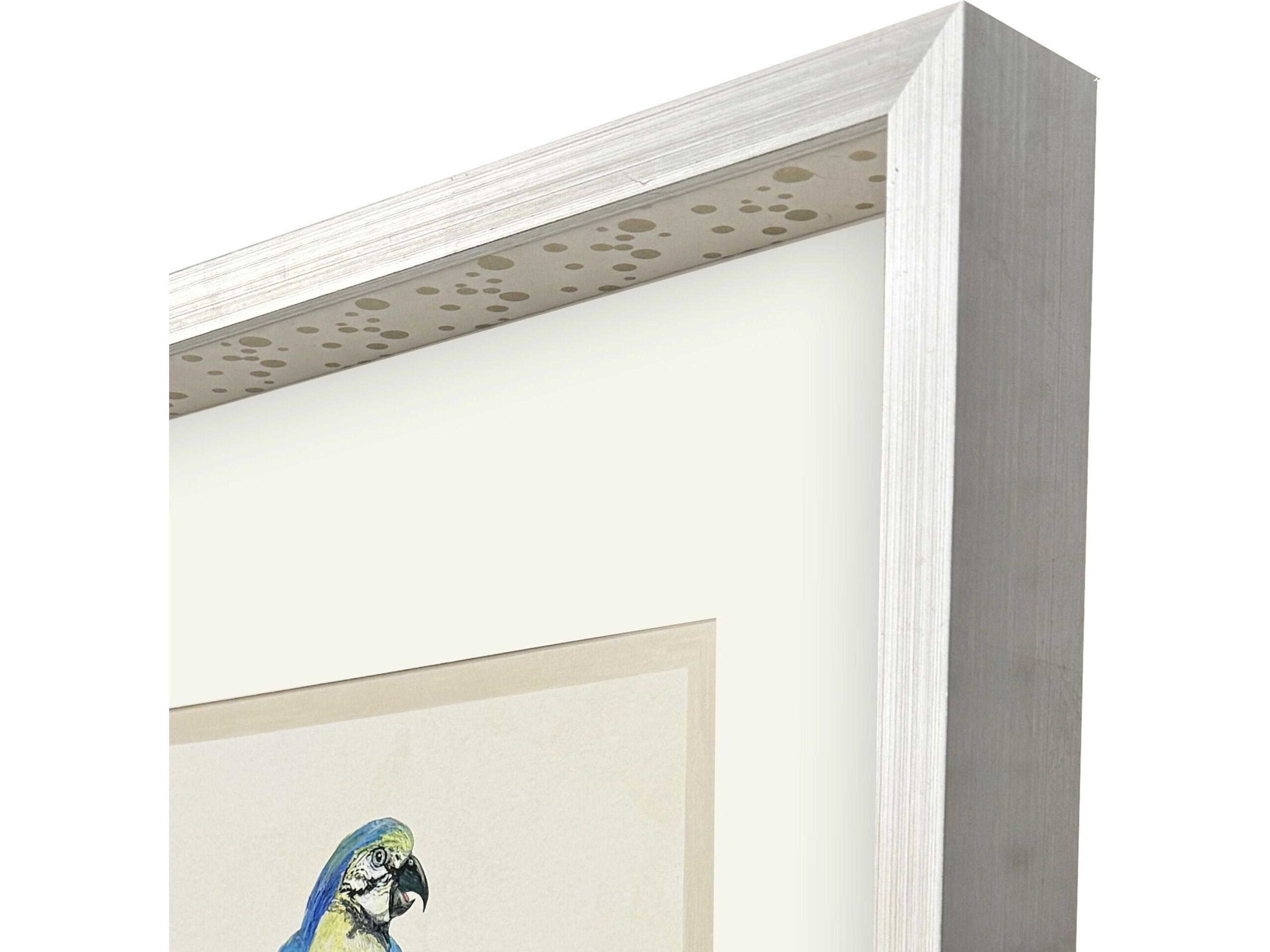 Paragon Treasure Parrot I Framed Art