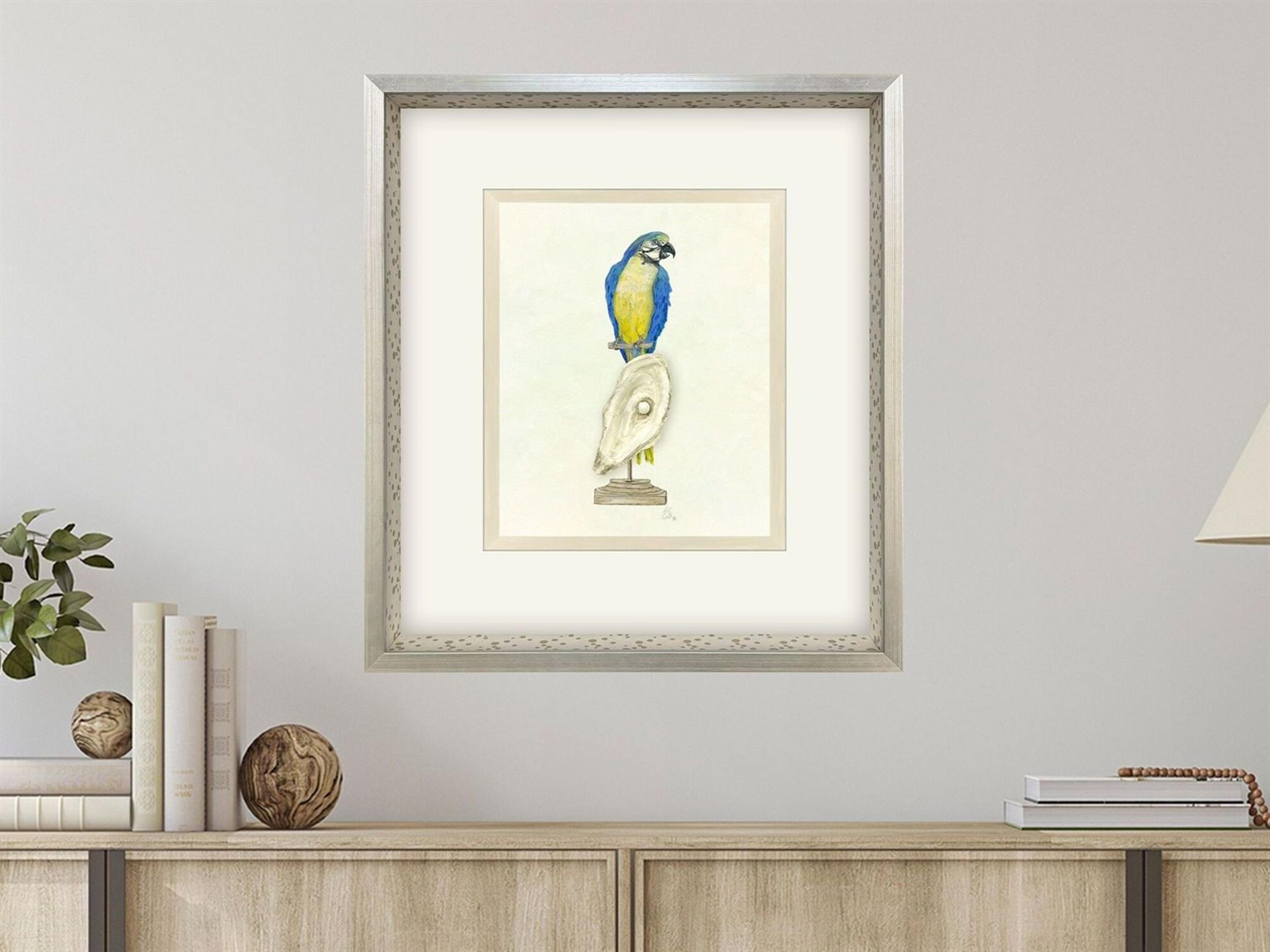 Paragon Treasure Parrot I Framed Art