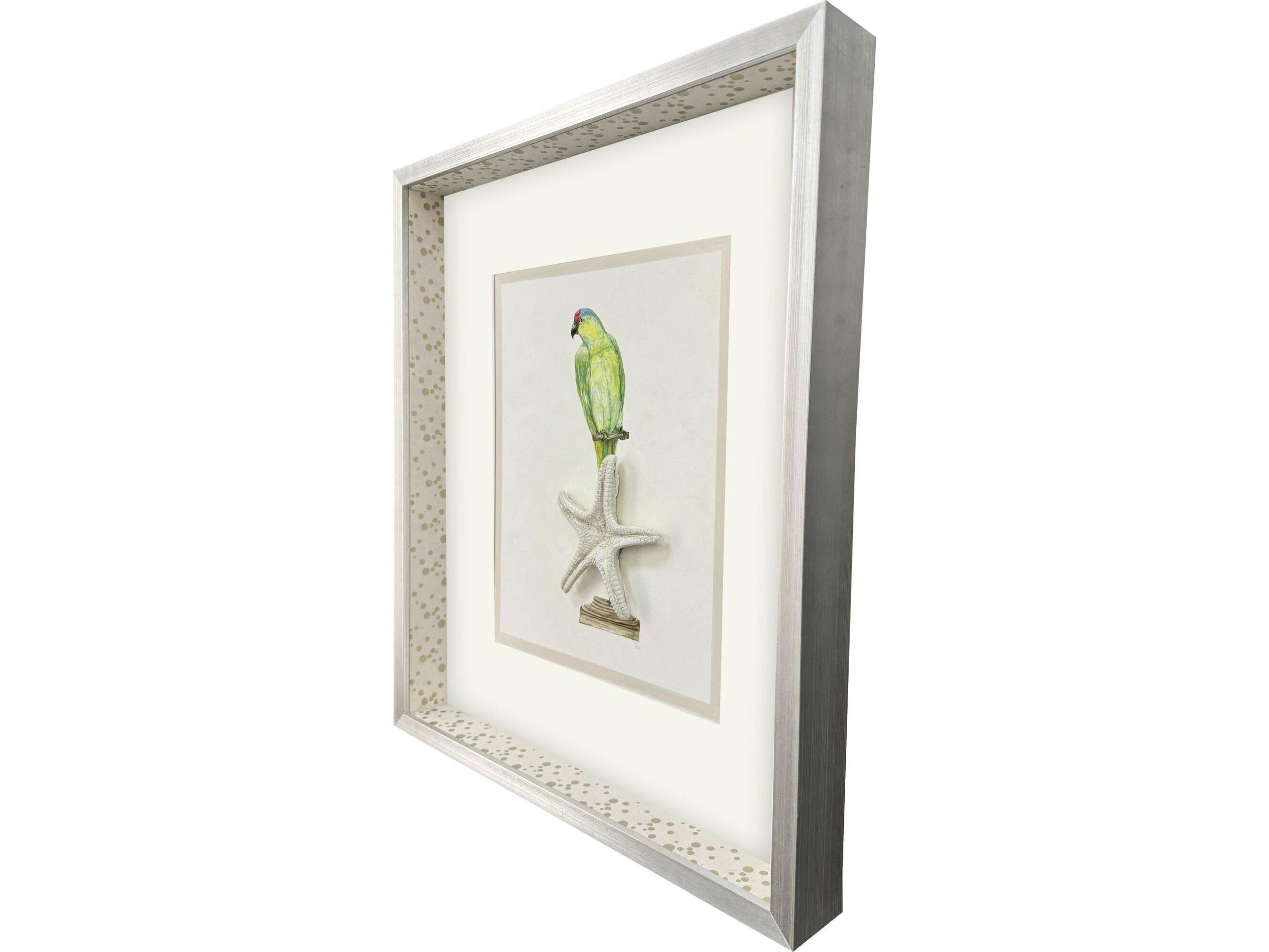 Paragon Treasure Parrot II Framed Art