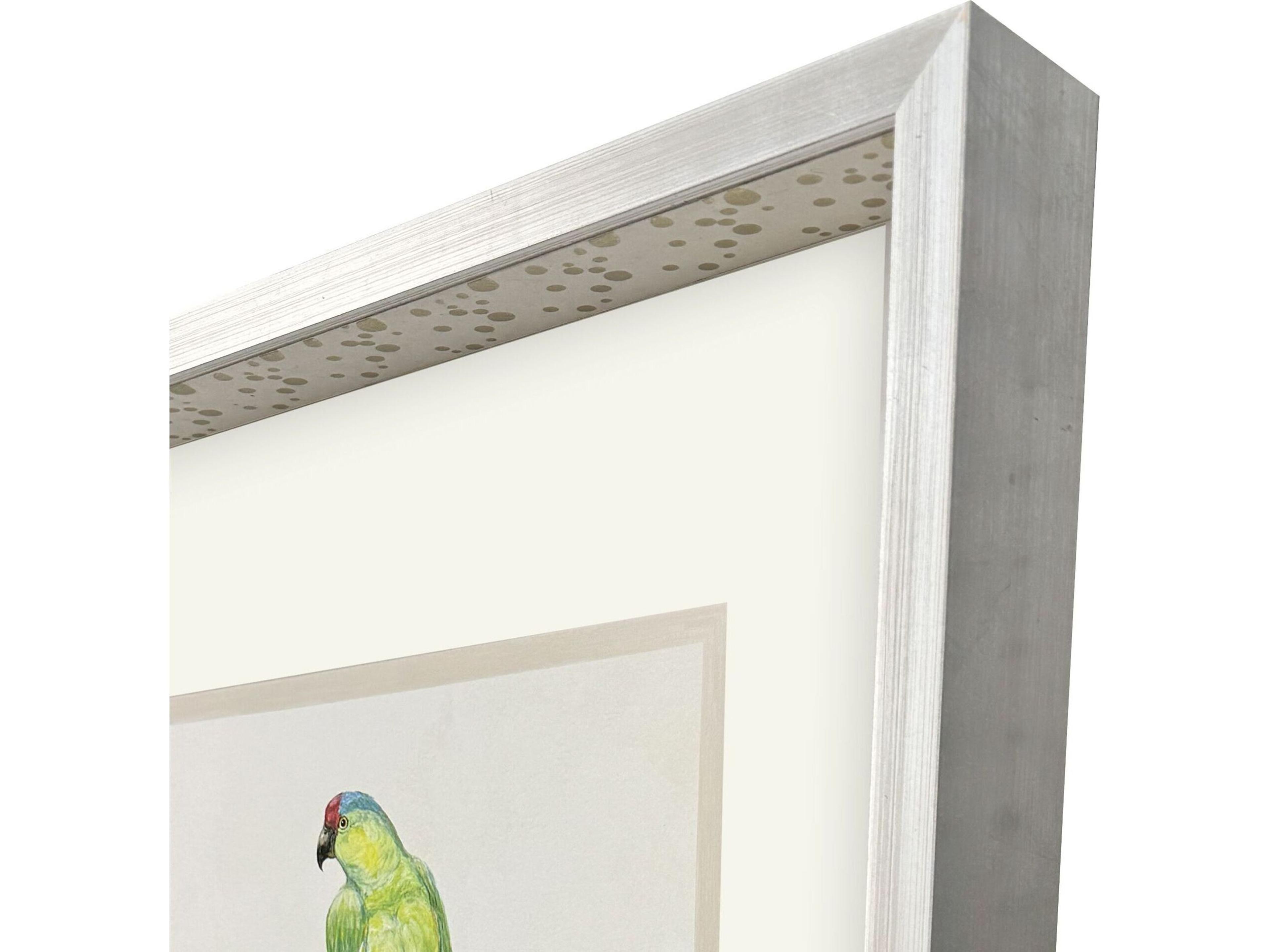 Paragon Treasure Parrot II Framed Art
