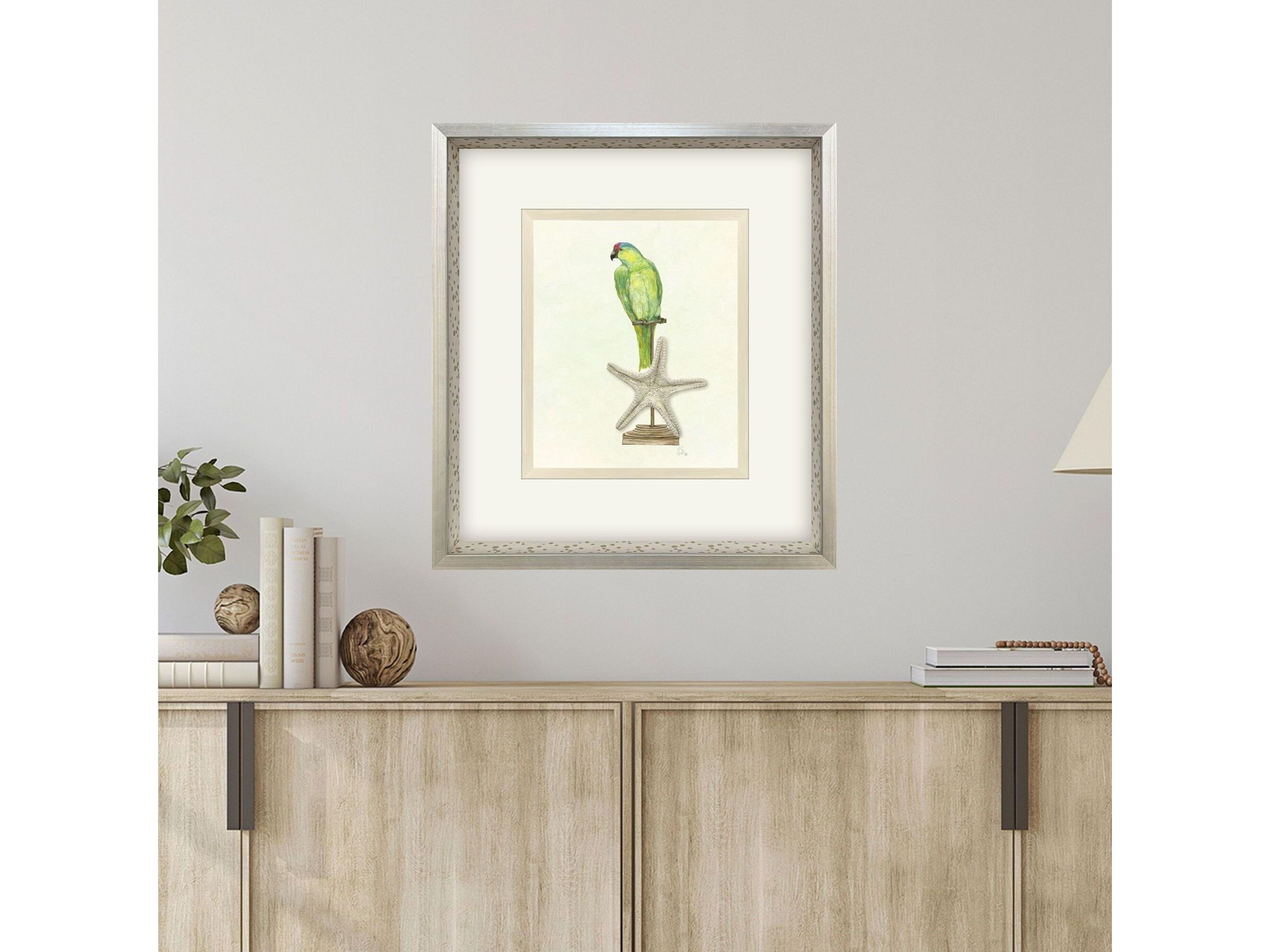 Paragon Treasure Parrot II Framed Art
