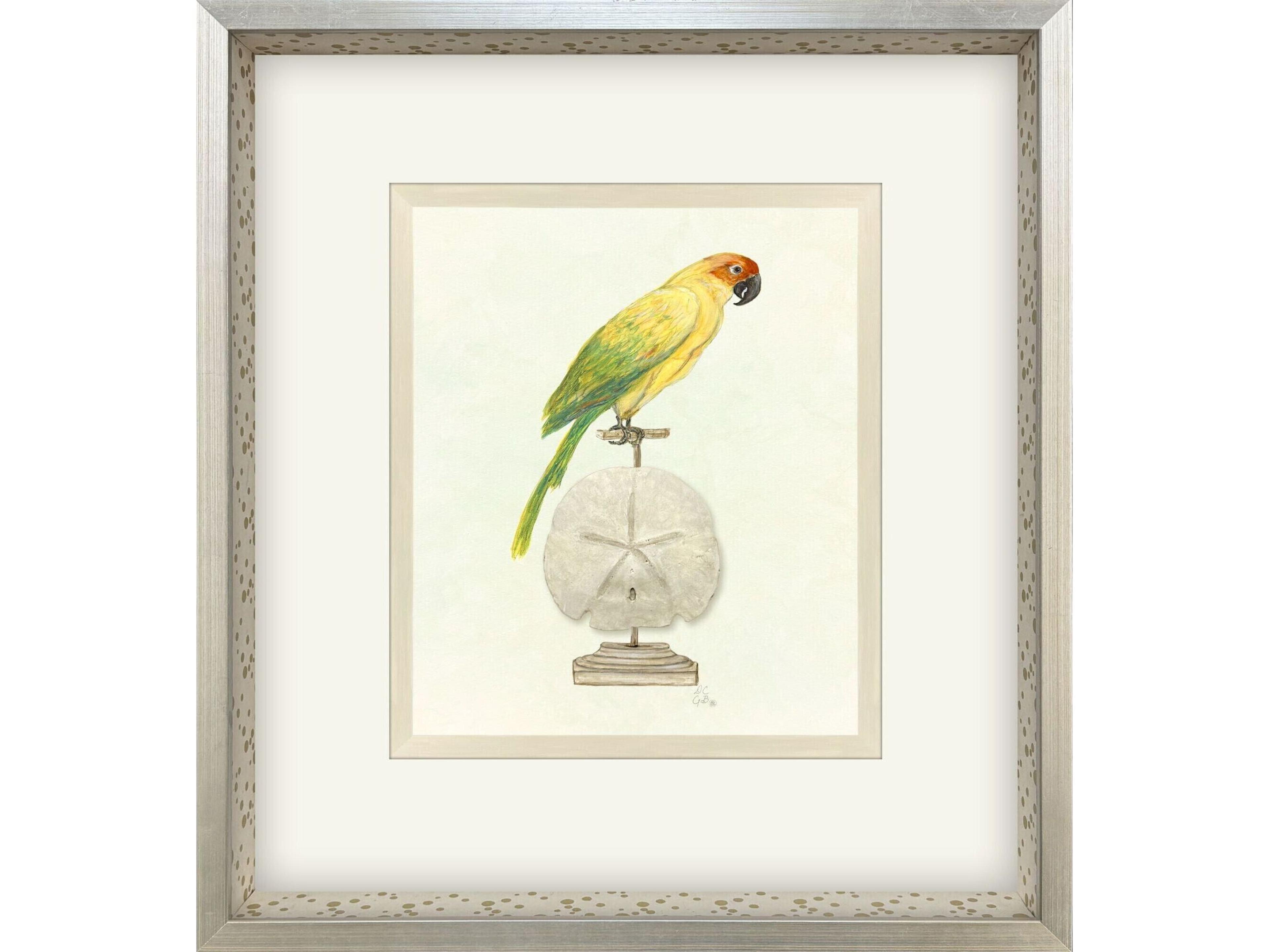 Treasure Parrot III Framed Art