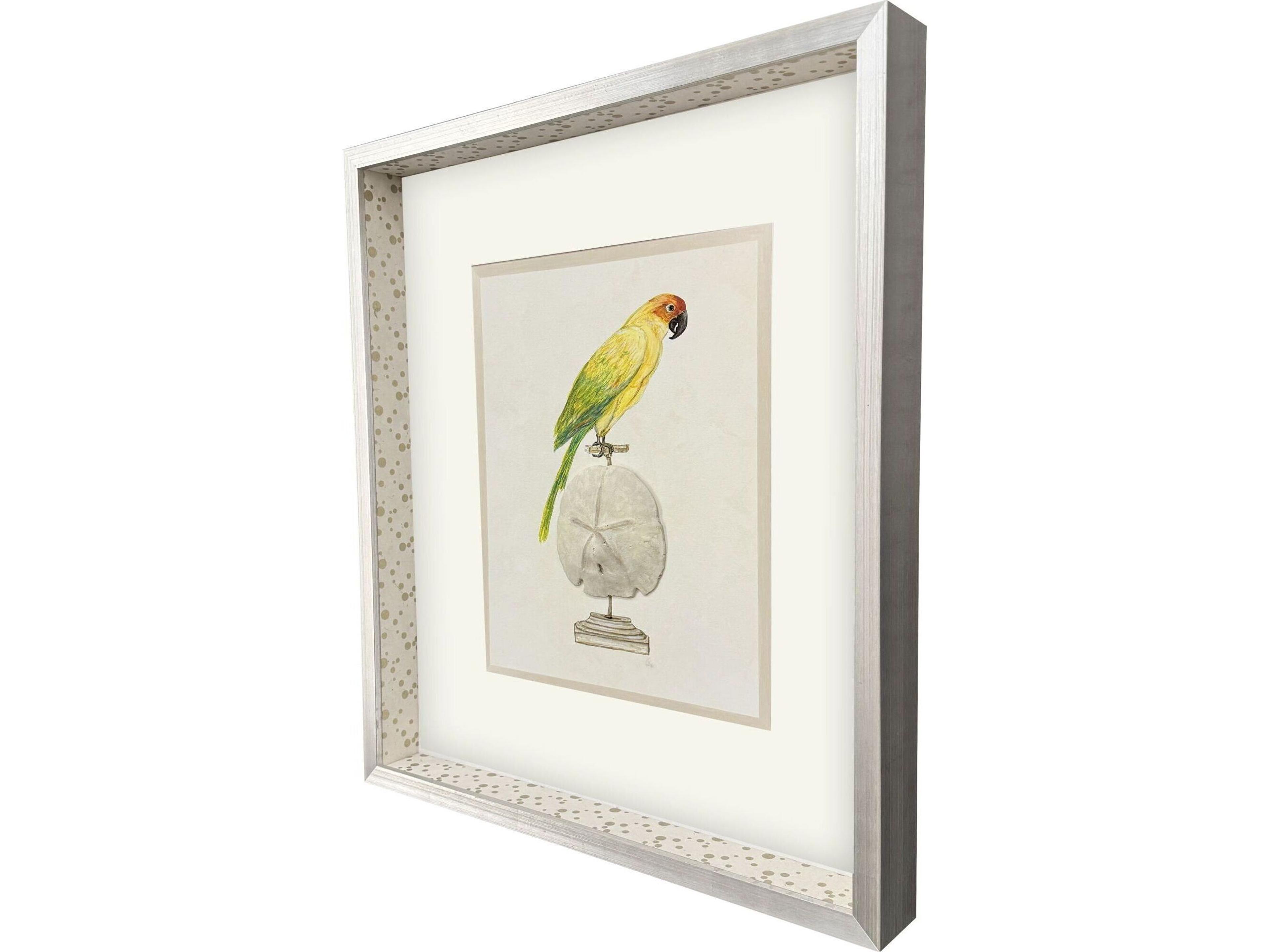 Paragon Treasure Parrot III Framed Art
