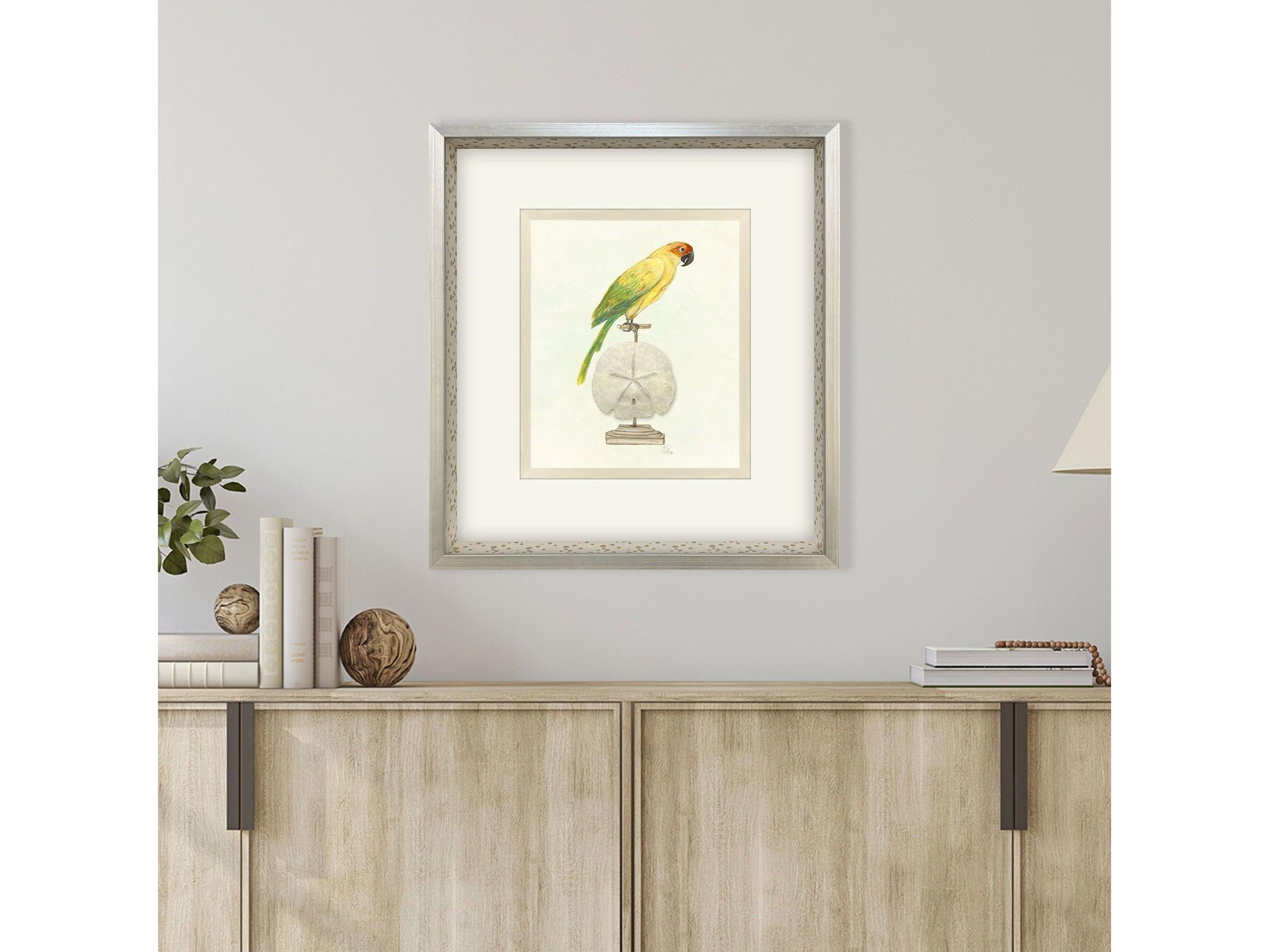 Paragon Treasure Parrot III Framed Art