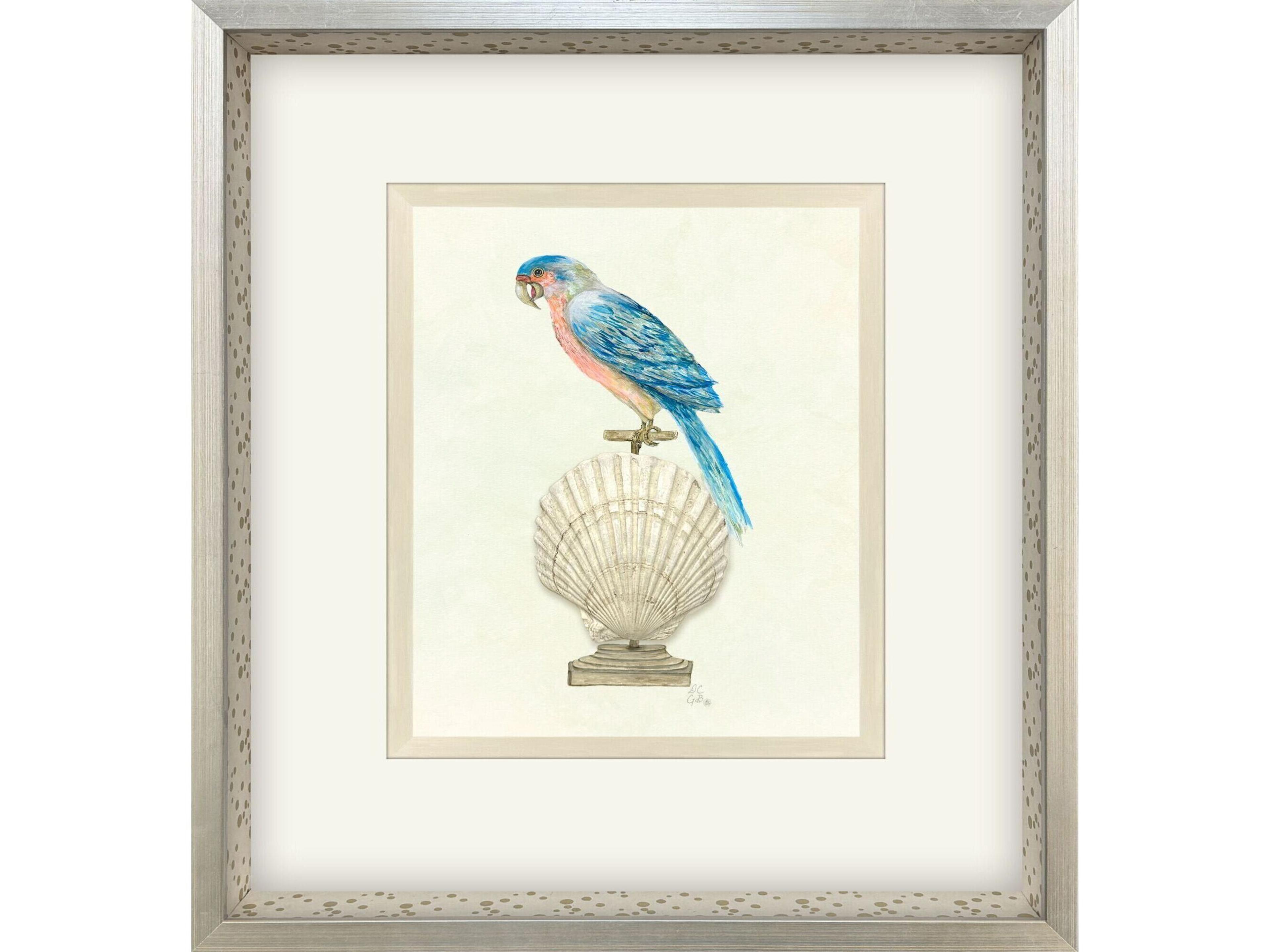 Treasure Parrot IV Framed Art