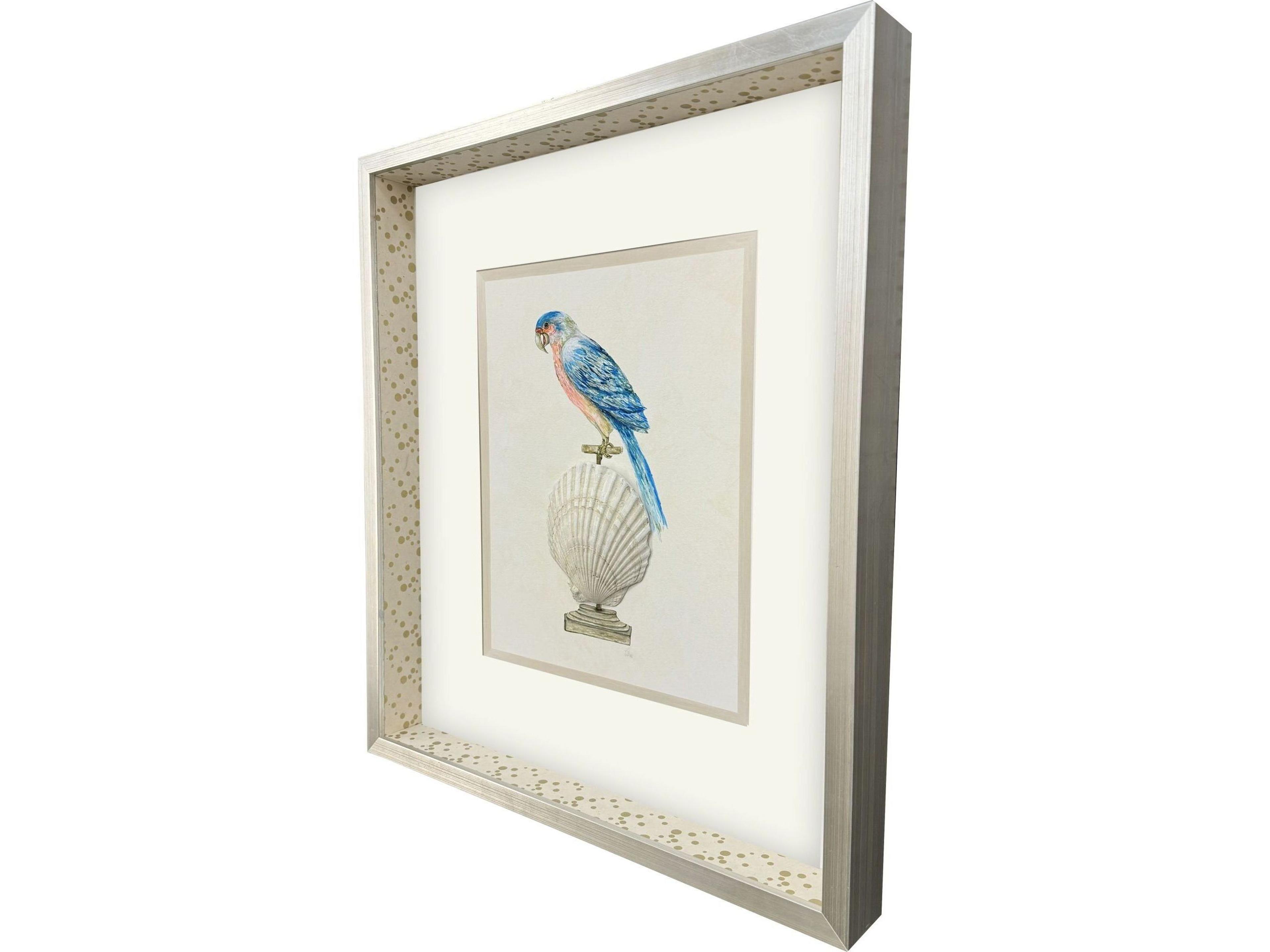 Paragon Treasure Parrot IV Framed Art