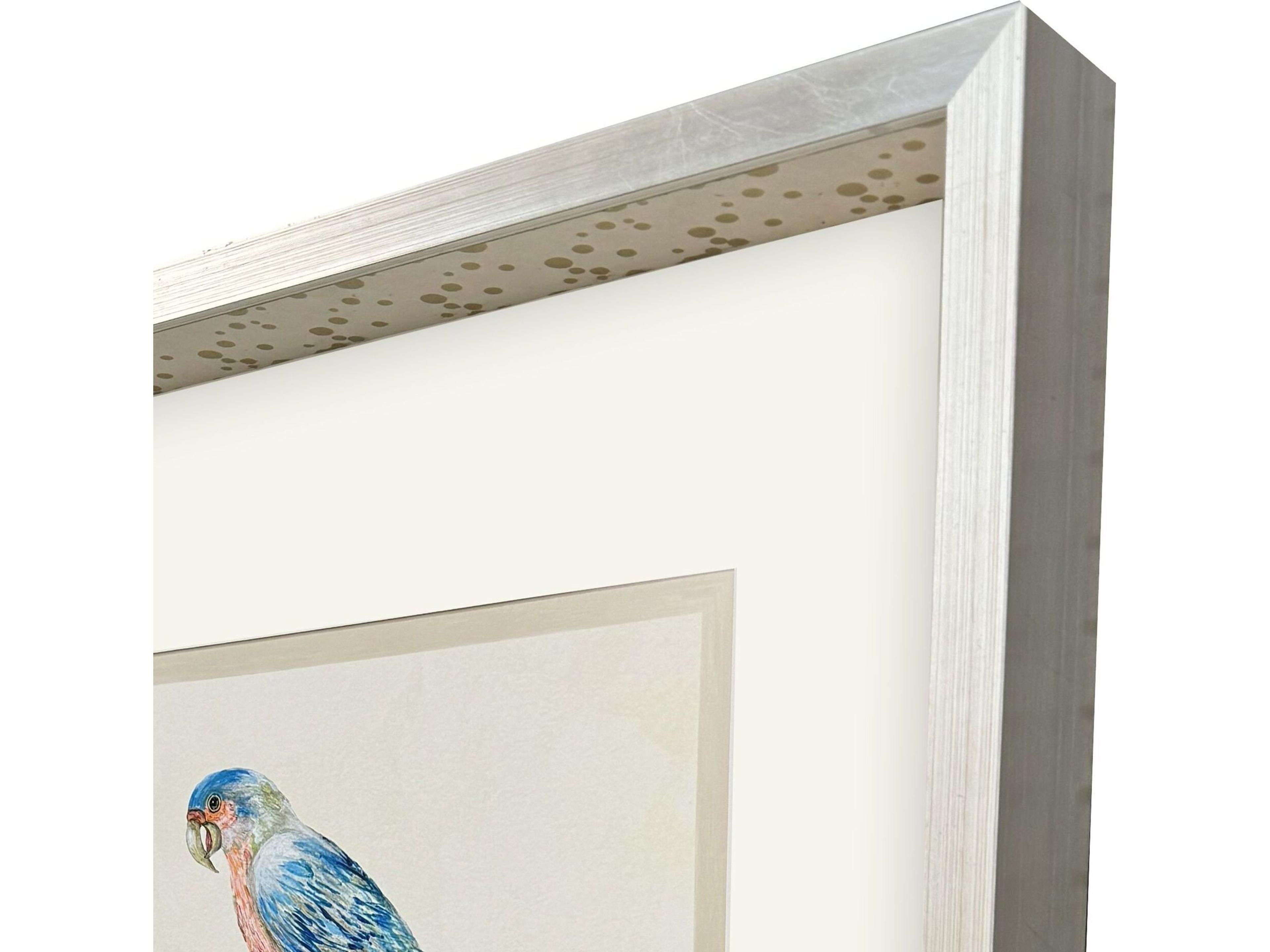 Paragon Treasure Parrot IV Framed Art