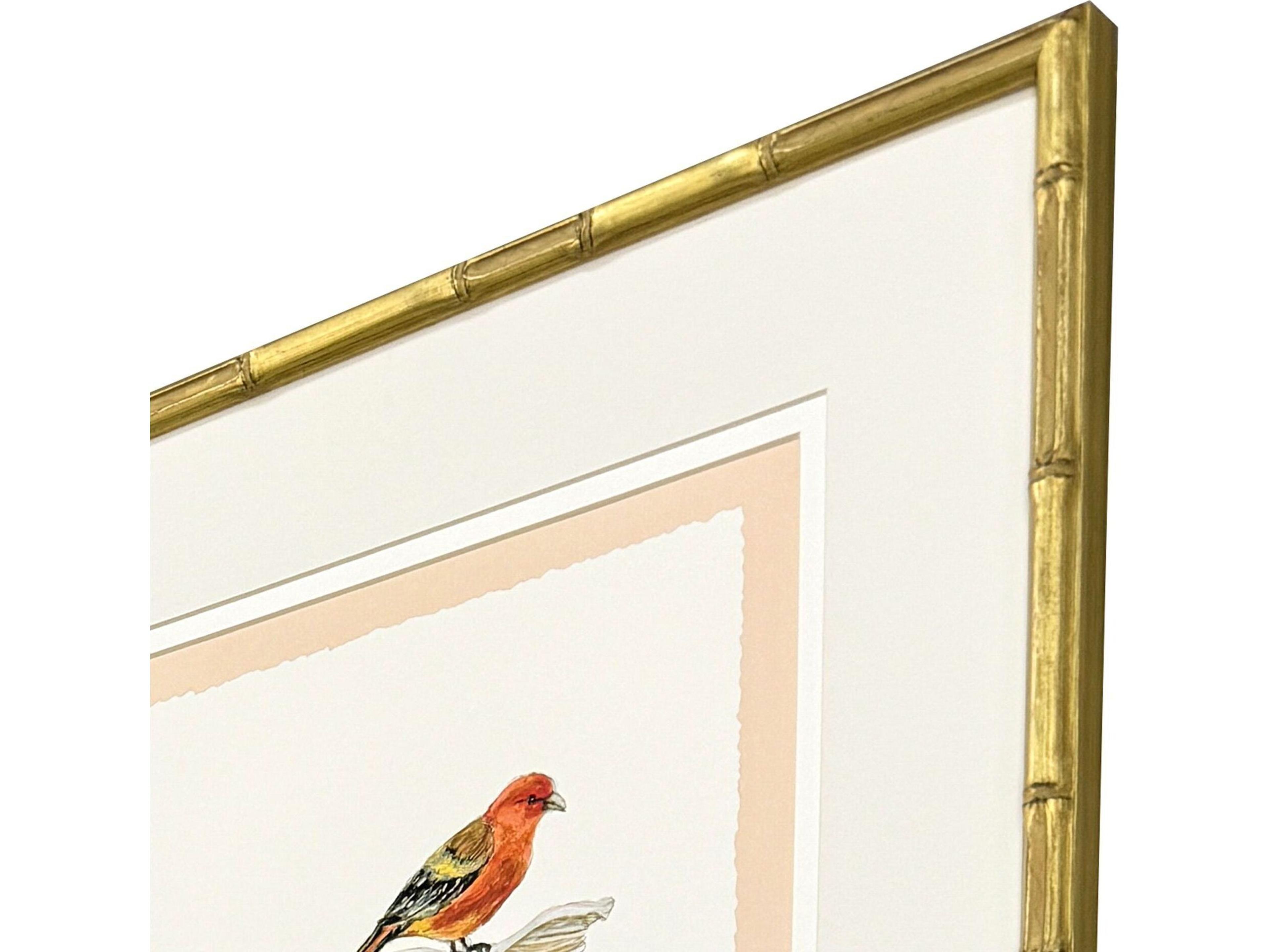 Paragon Bird with Shell Framed Art - Set of 4