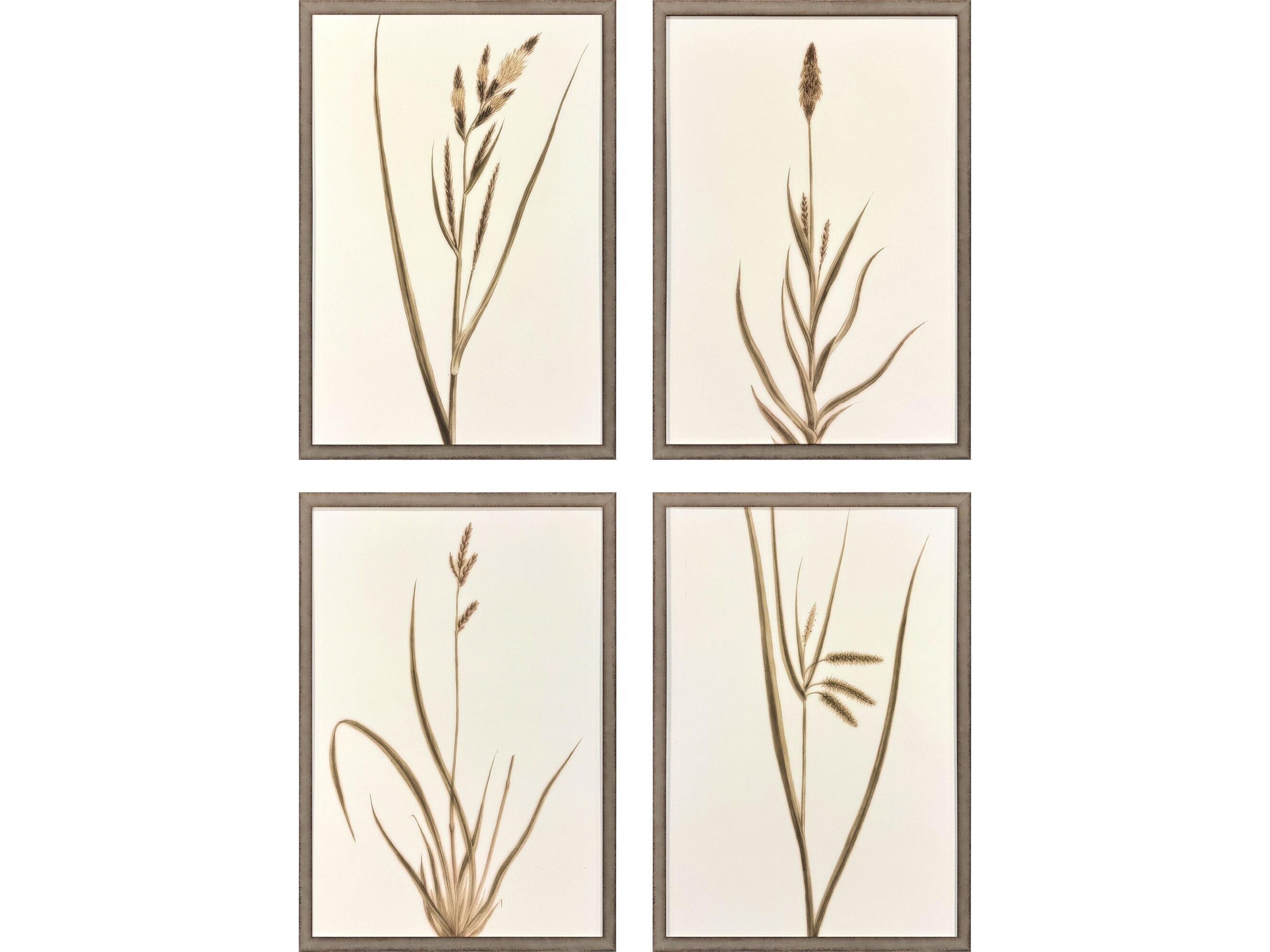Varying Grasses Framed Art - Set of 4