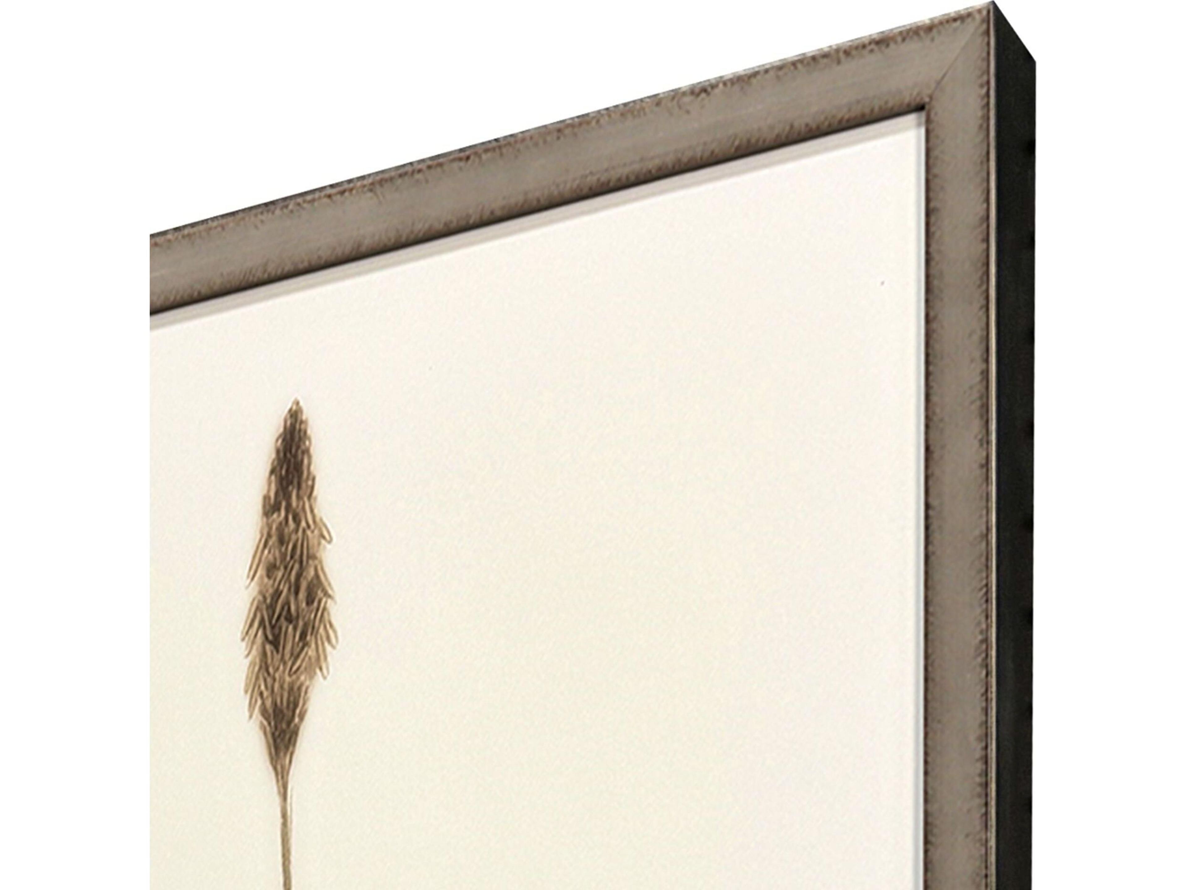 Paragon Varying Grasses Framed Art - Set of 4