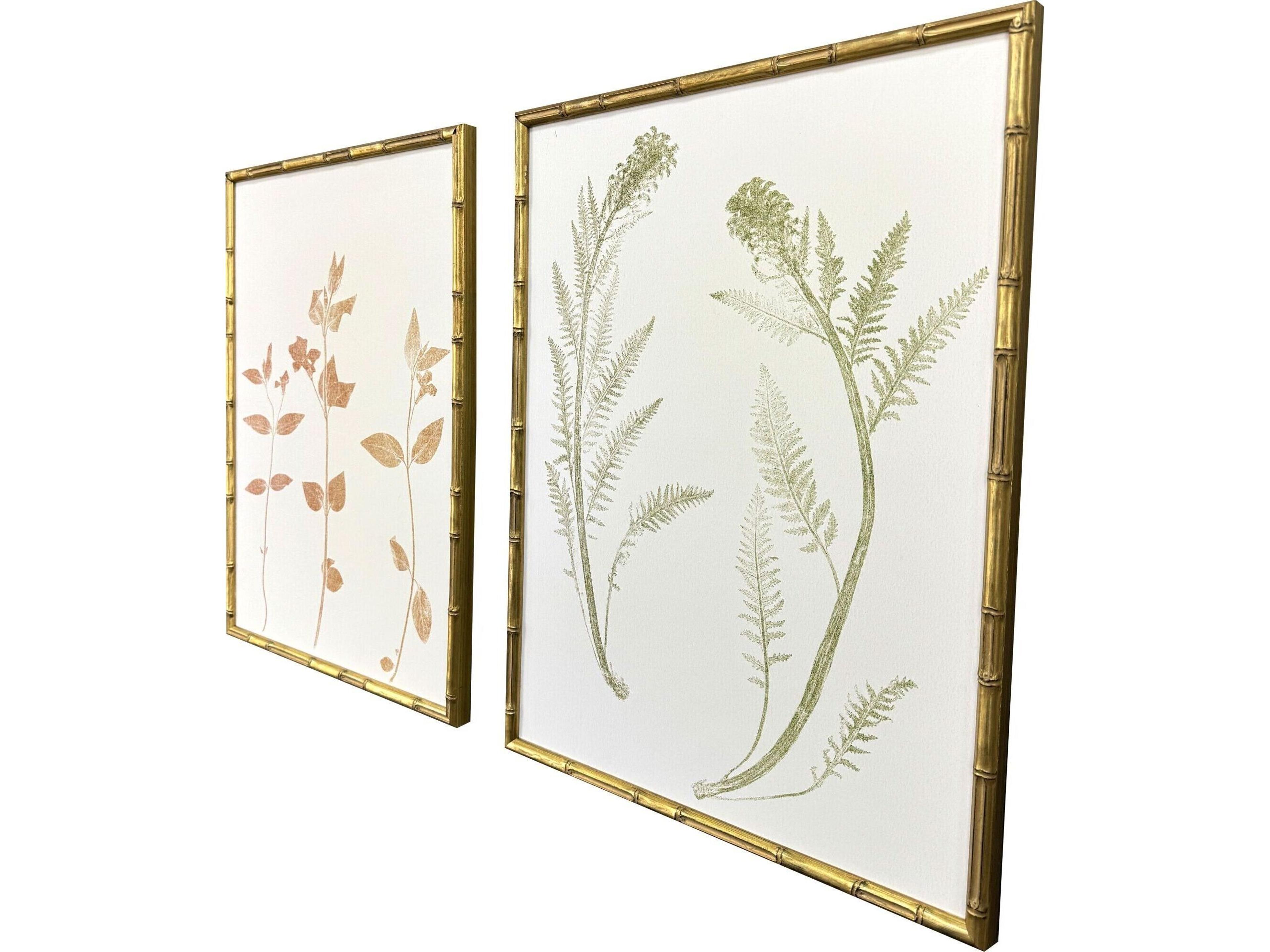 Paragon Floral Trace I Framed Art - Set of 2
