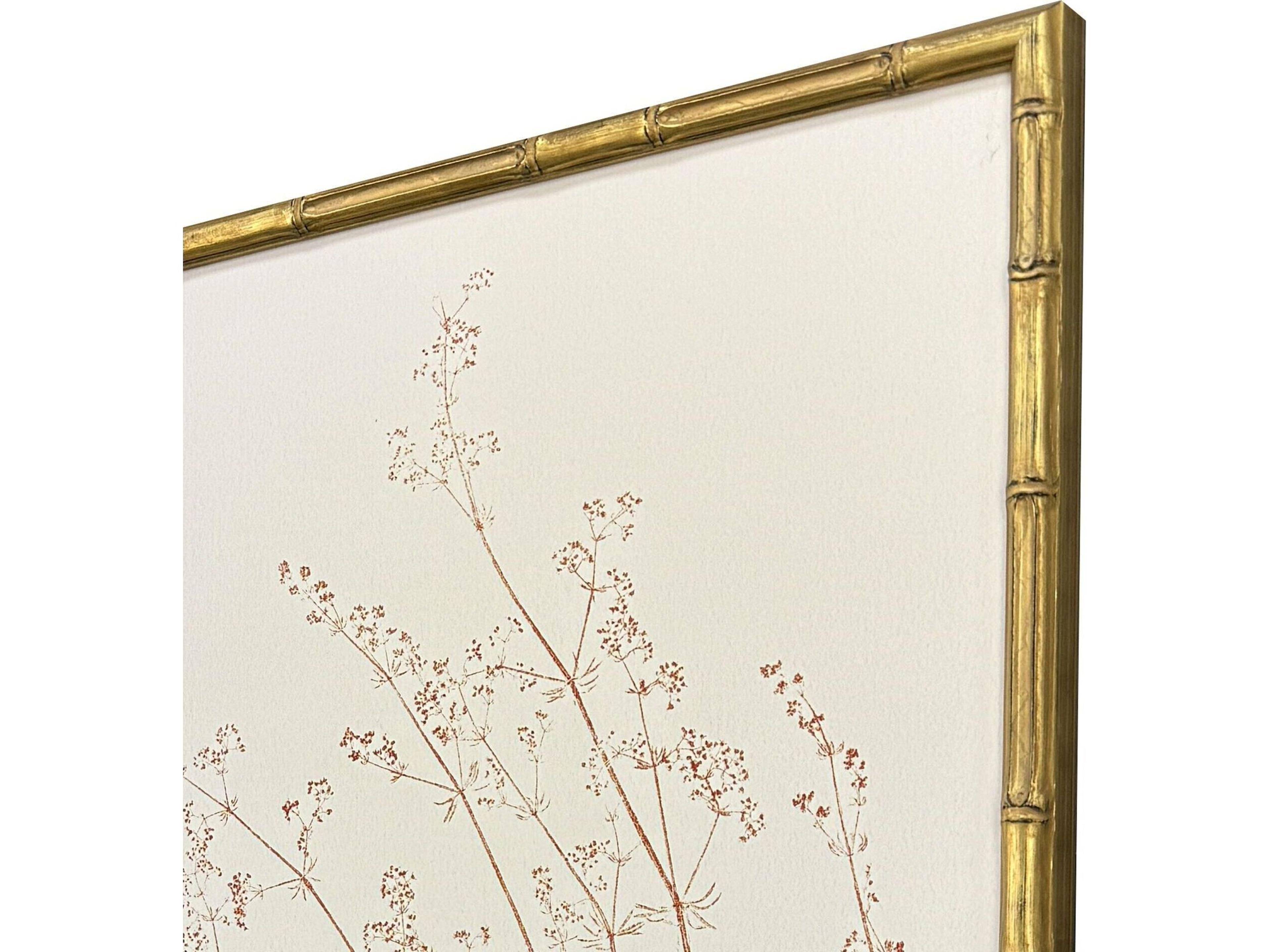 Paragon Floral Trace III Framed Art - Set of 2