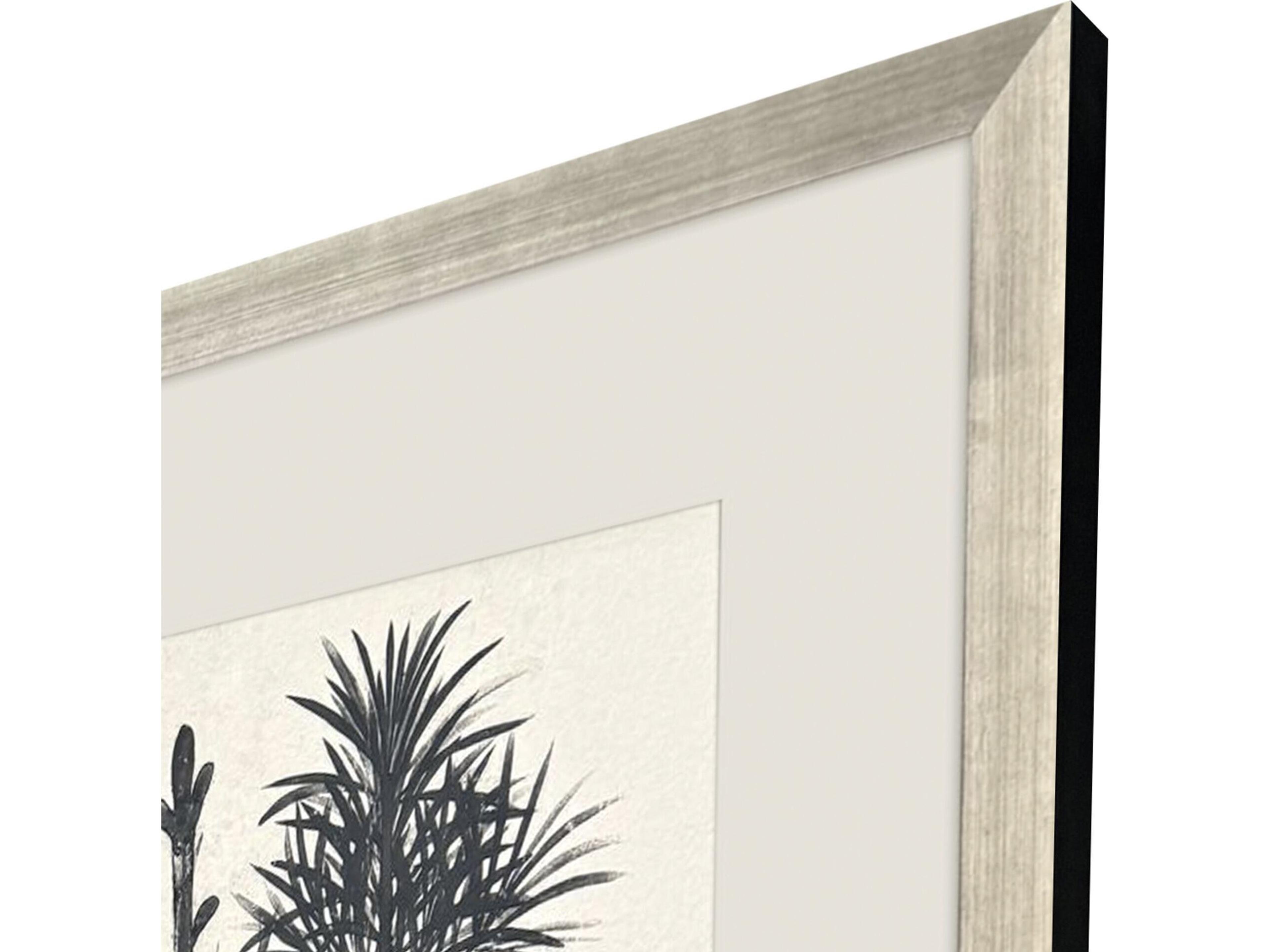 Paragon Forest Vista II Framed Art