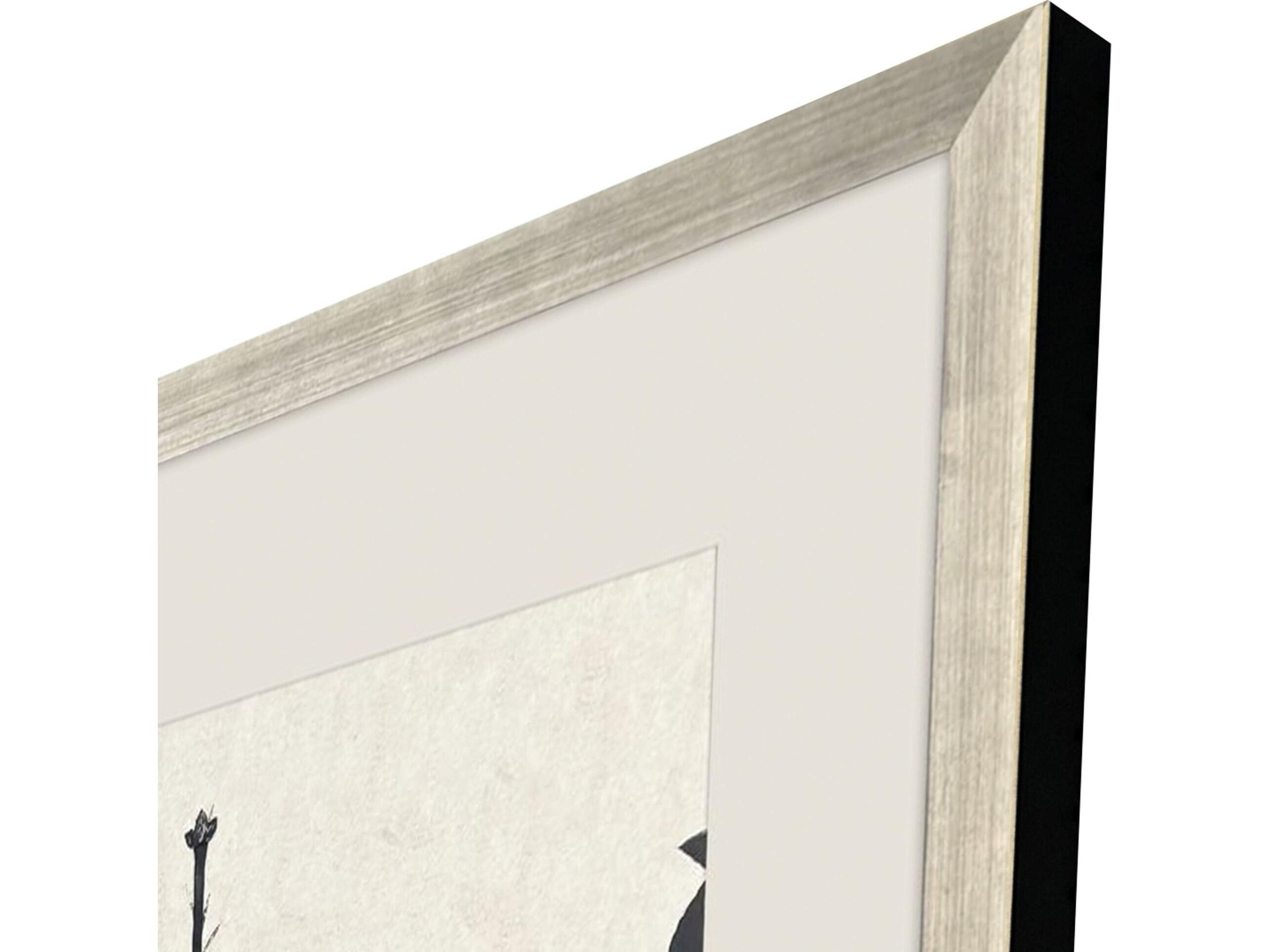 Paragon Forest Vista III Framed Art