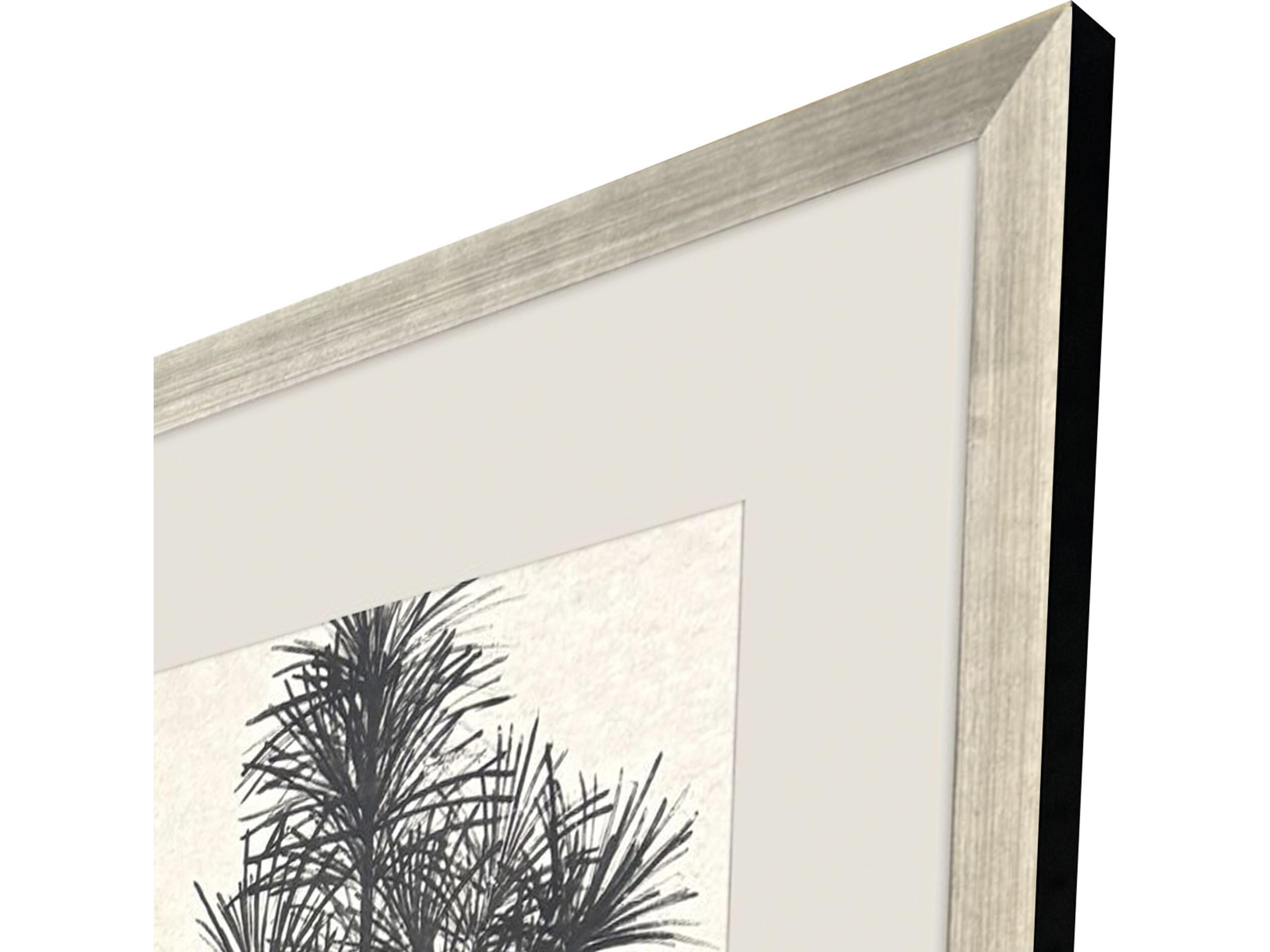 Paragon Forest Vista IV Framed Art