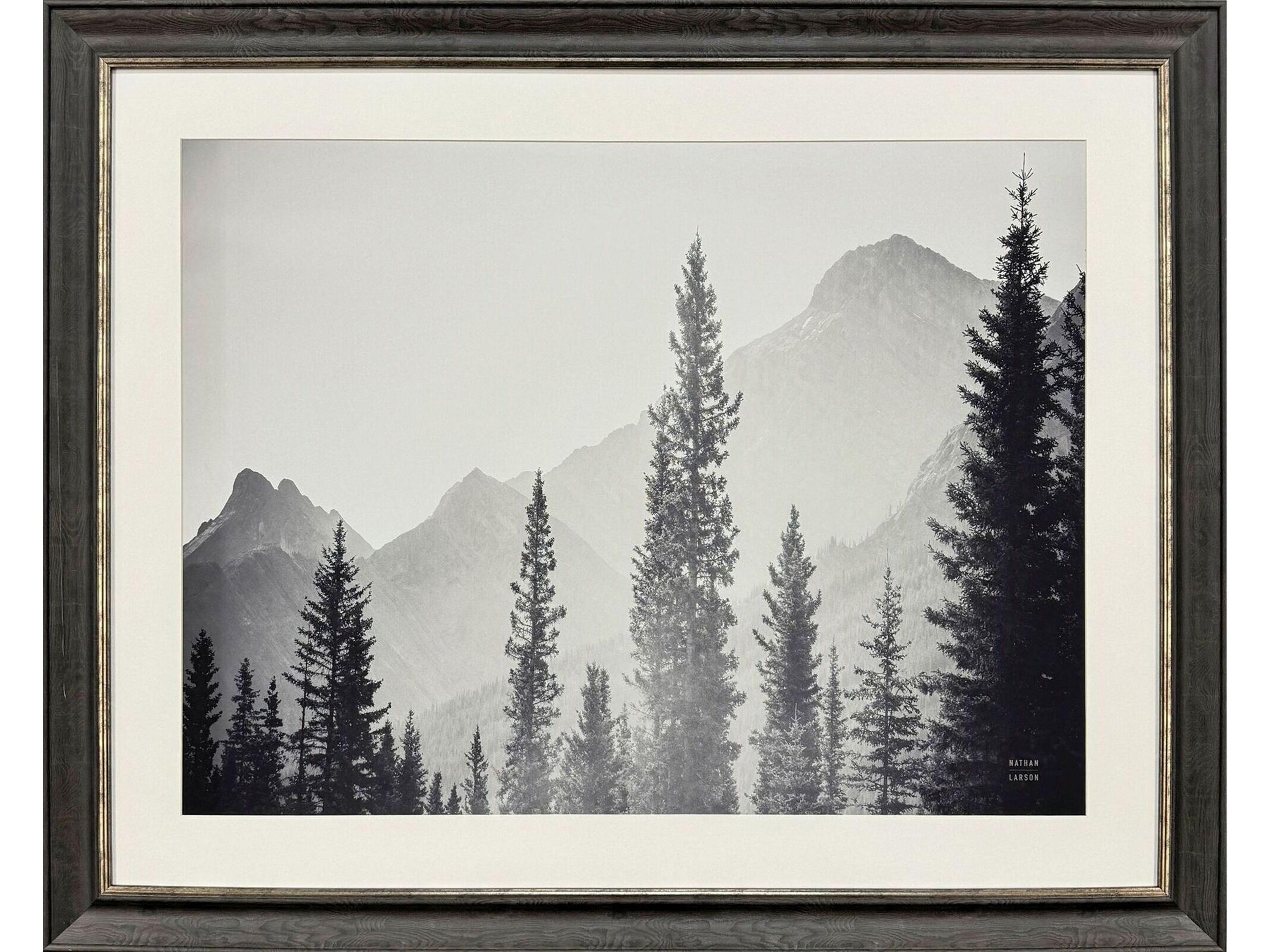 Kanaskis Country Framed Art
