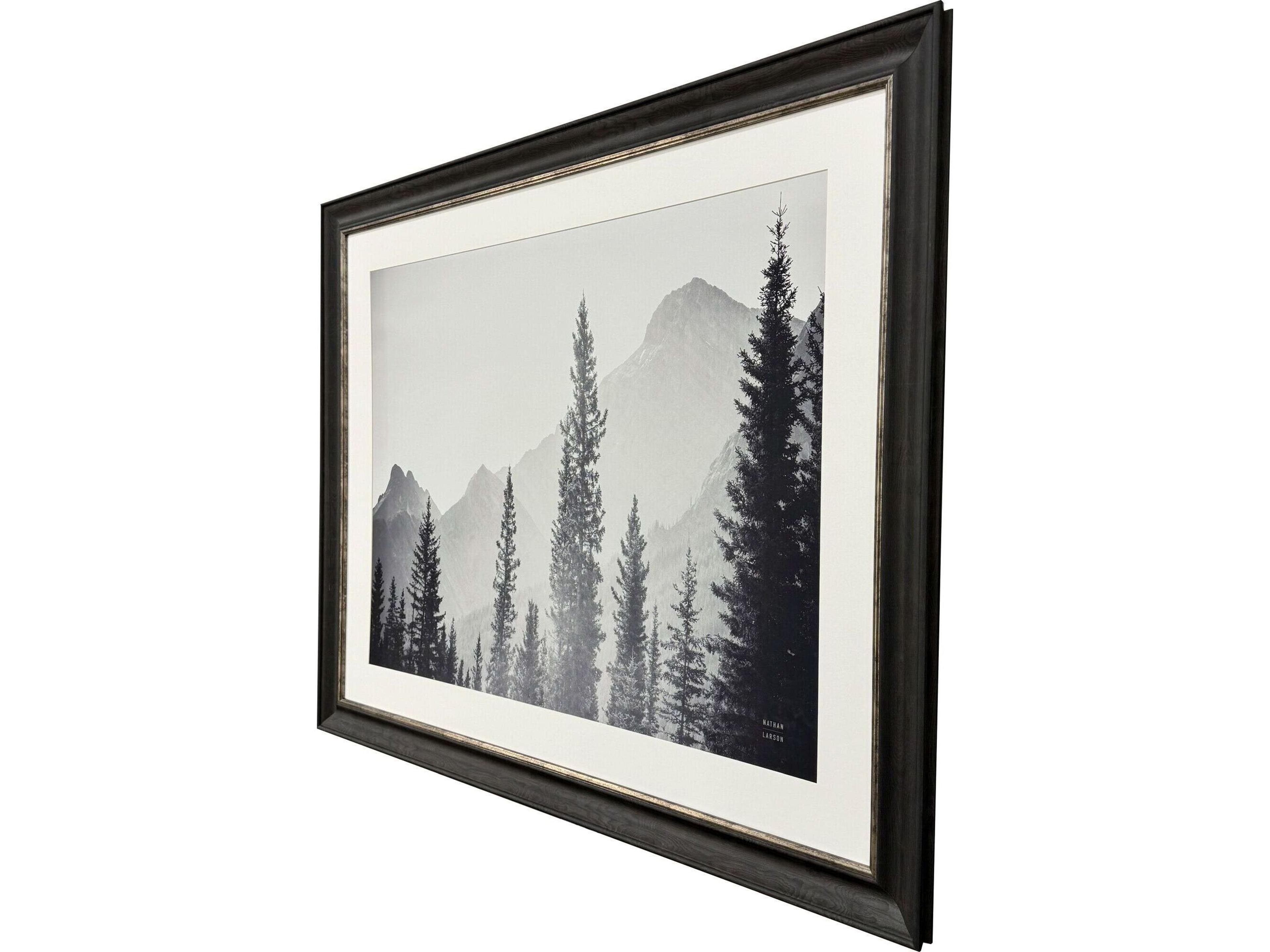Paragon Kanaskis Country Framed Art