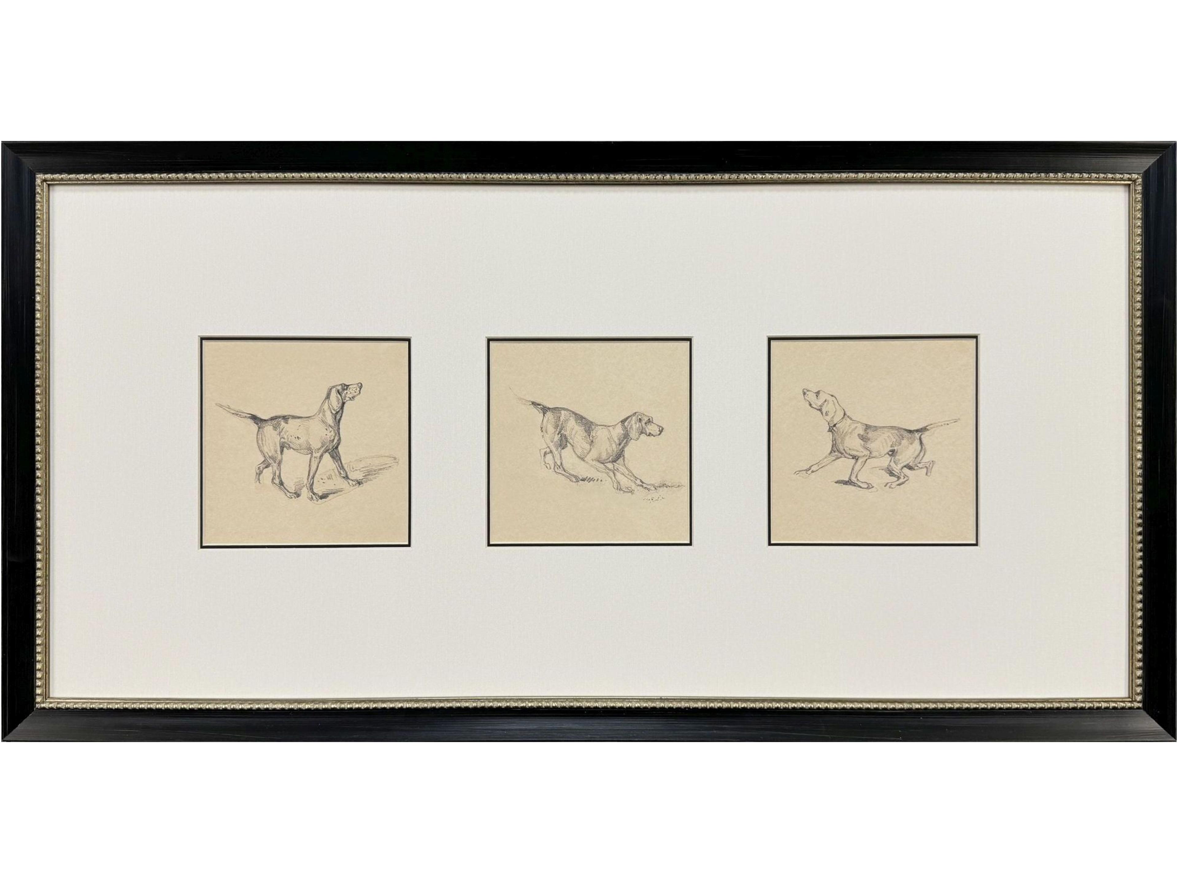 French Pointer Series Framed Art