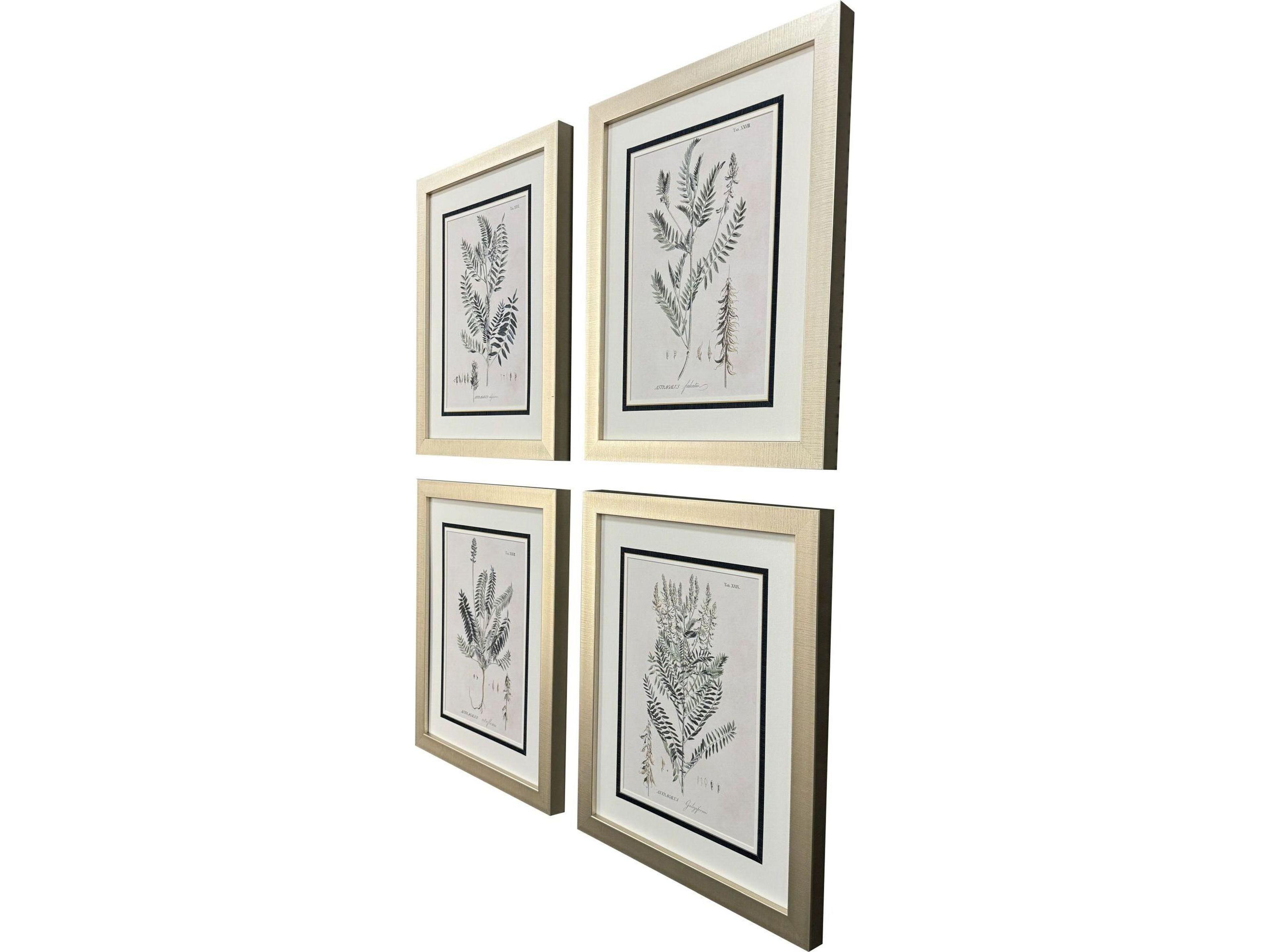 Paragon Astragalorum Framed Art - Set of 4