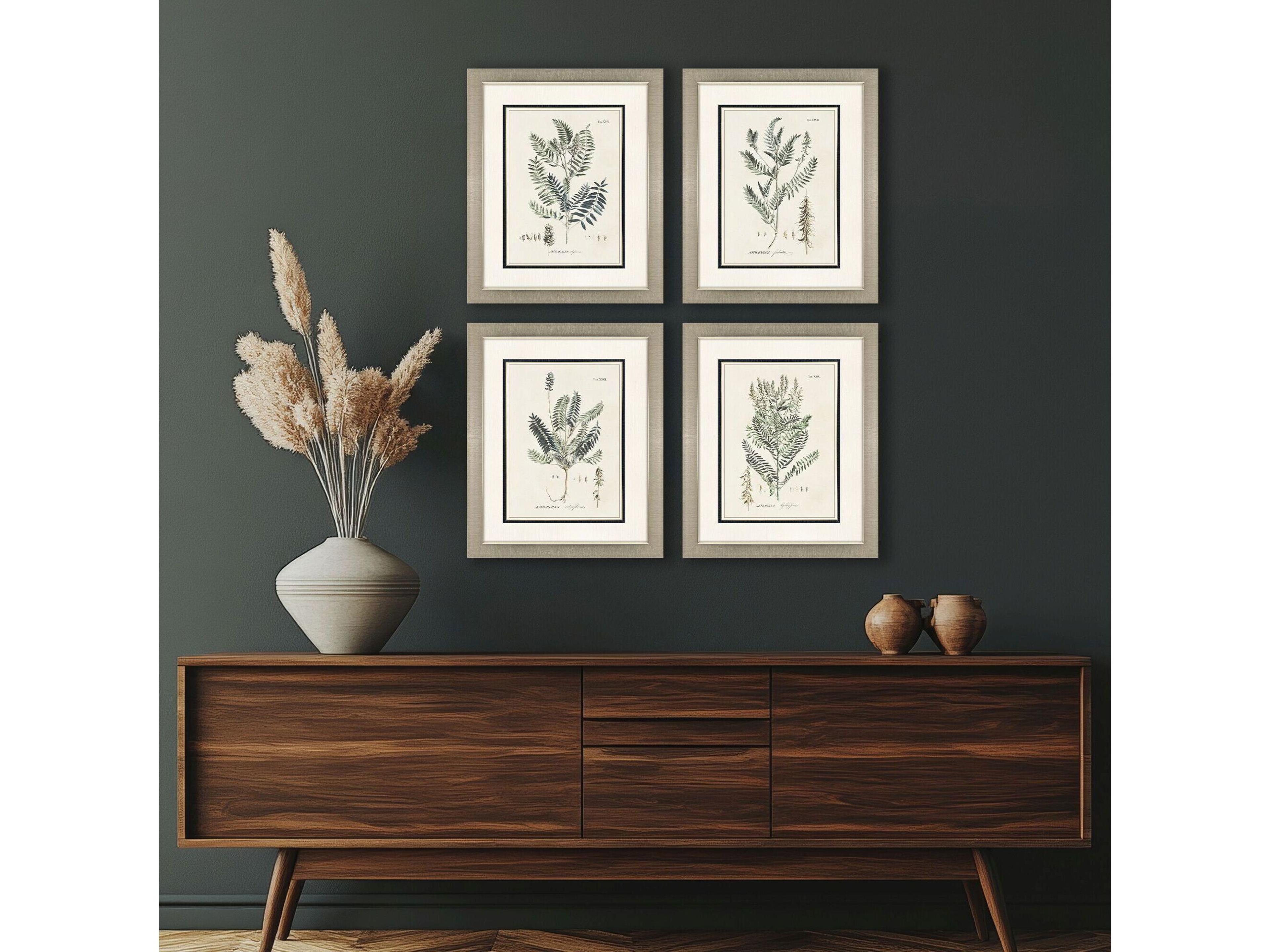 Paragon Astragalorum Framed Art - Set of 4