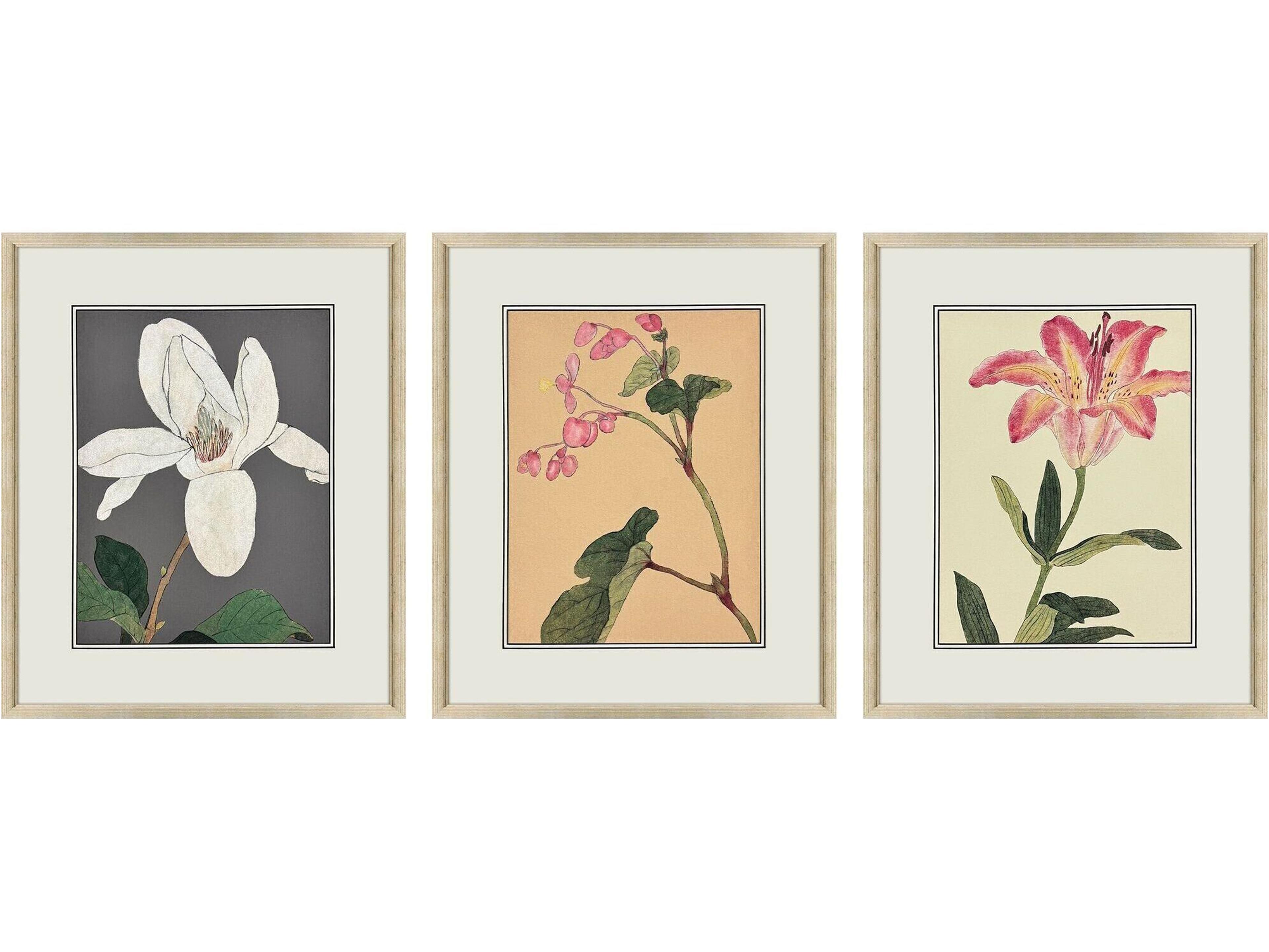 Enchanted Blooms II Framed Art - Set of 3