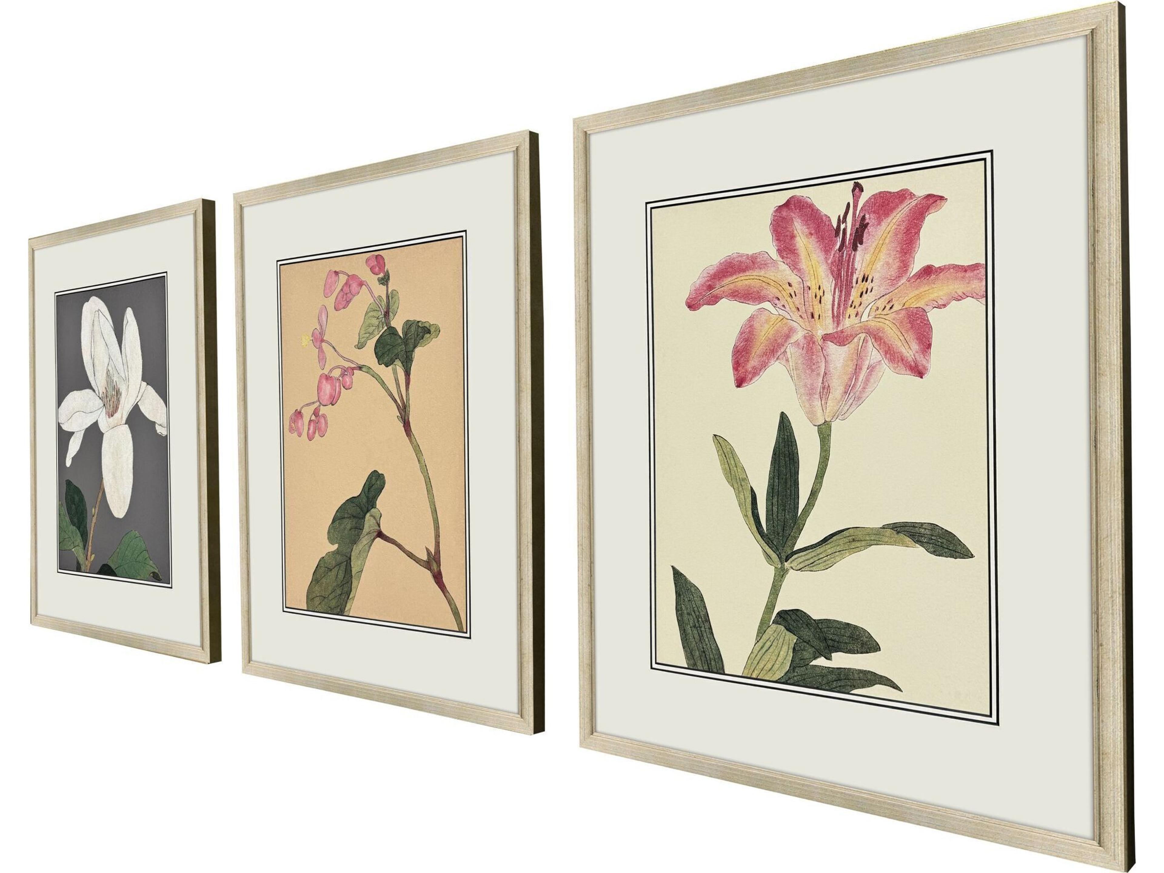 Paragon Enchanted Blooms II Framed Art - Set of 3