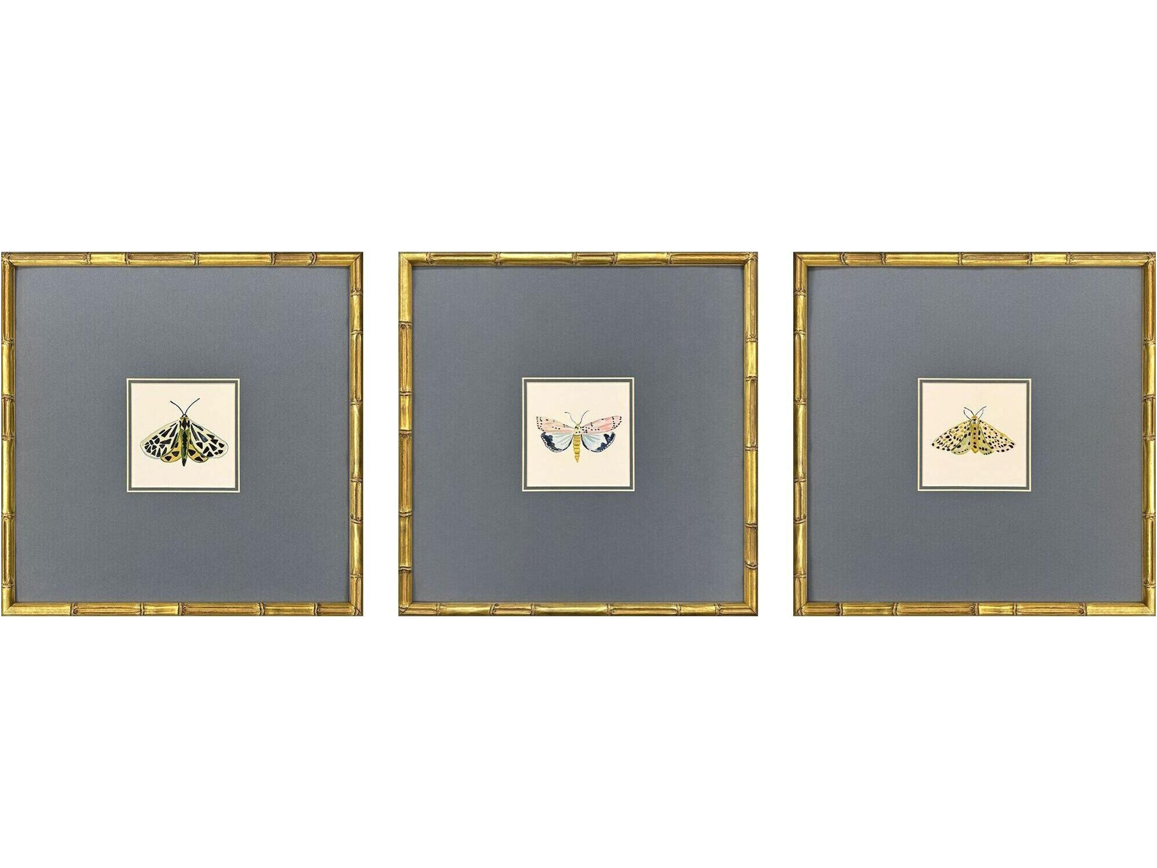 Pastel Moths I Framed Art - Set of 3