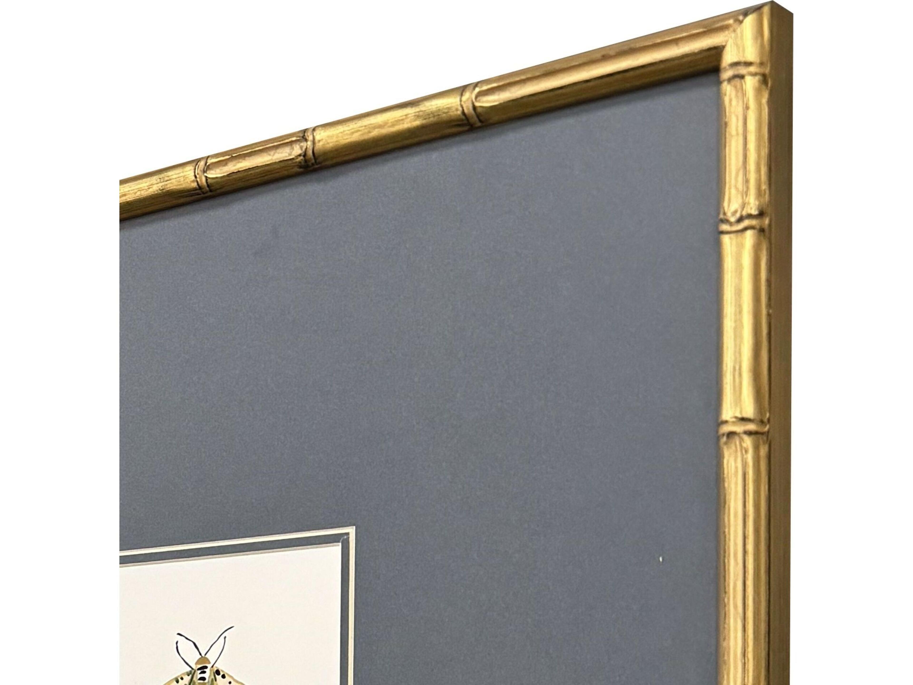 Paragon Pastel Moths I Framed Art - Set of 3