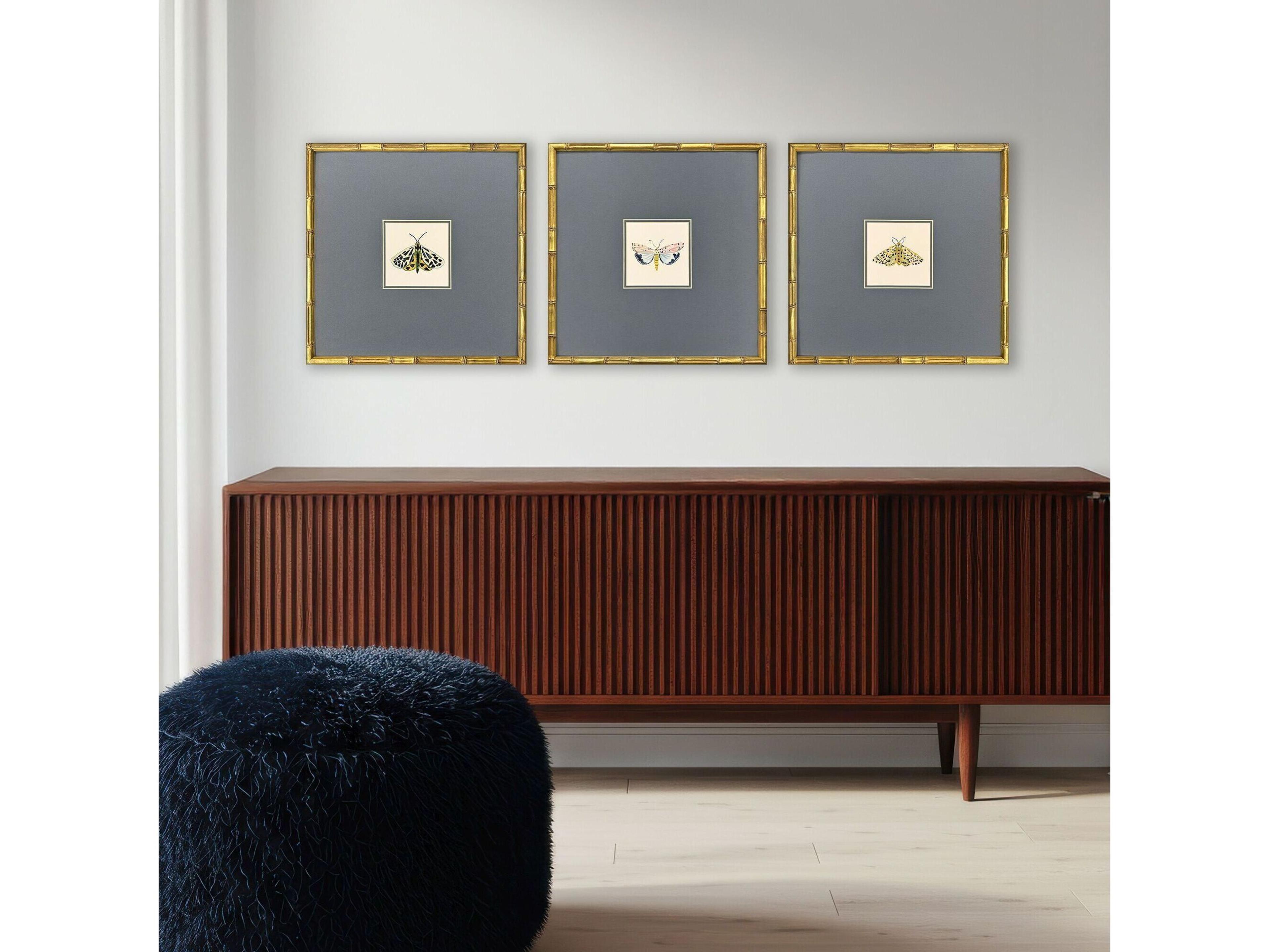 Paragon Pastel Moths I Framed Art - Set of 3