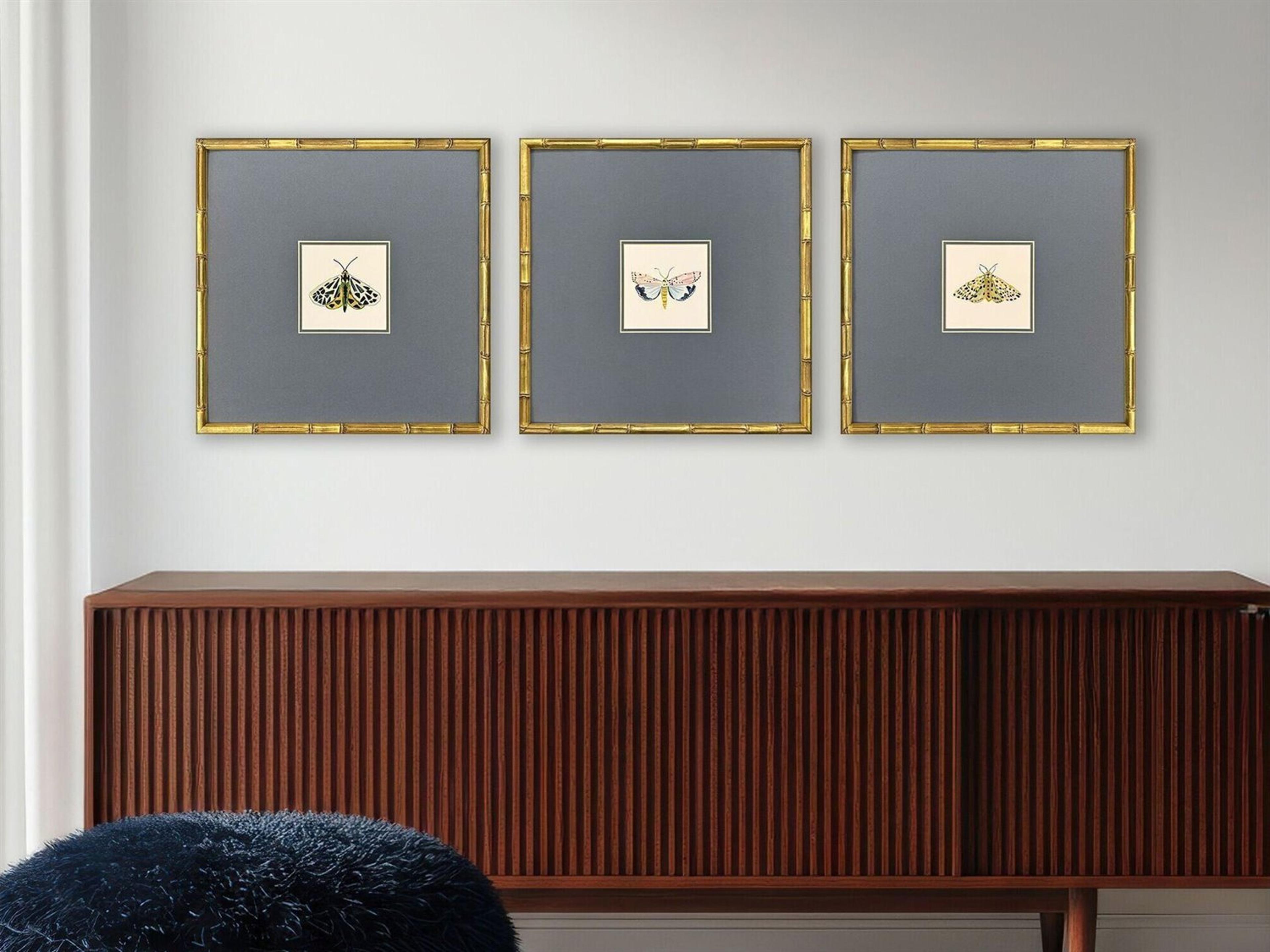 Paragon Pastel Moths I Framed Art - Set of 3