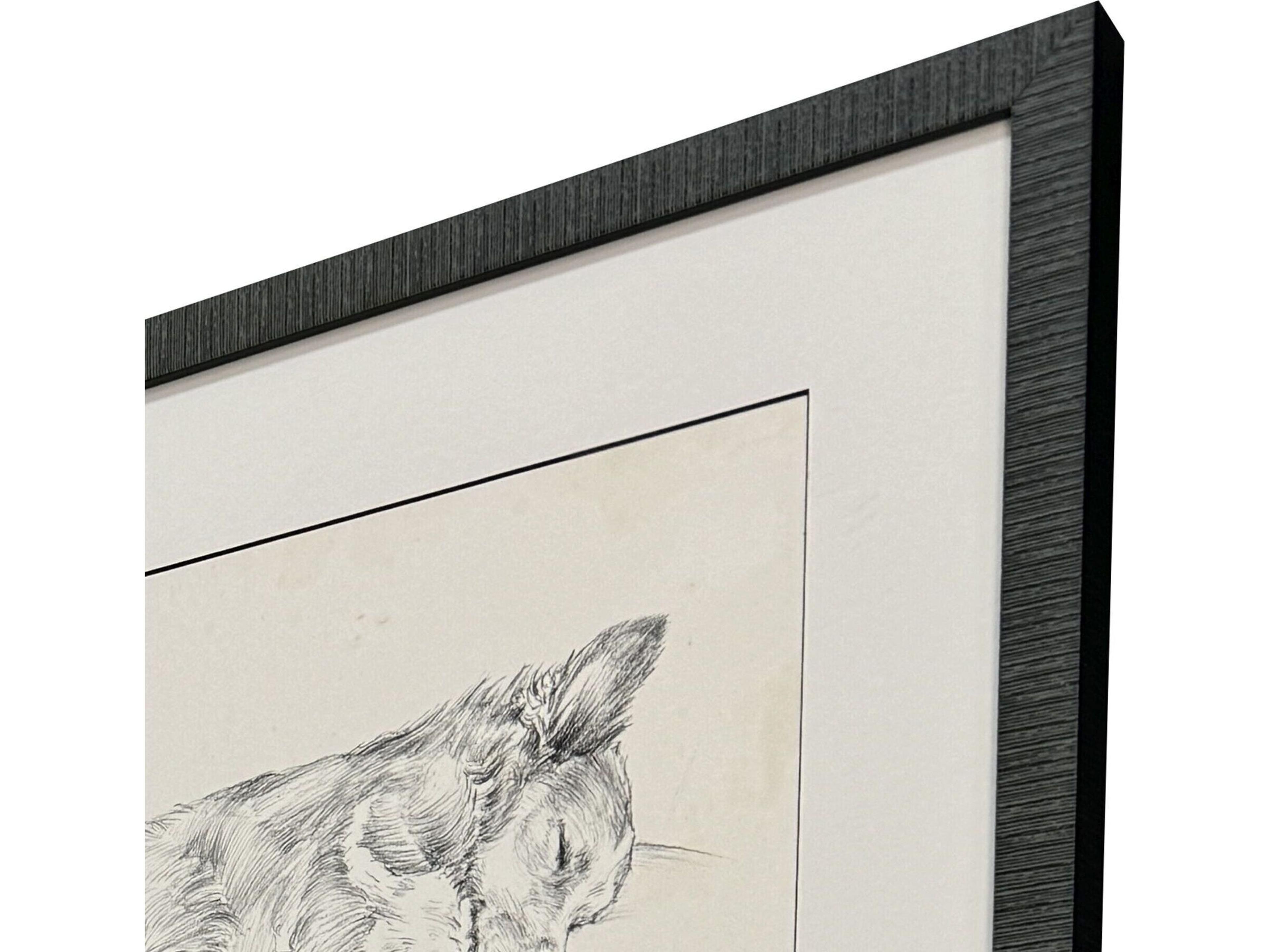 Paragon Antique Dog Sketch Framed Art - Set of 4