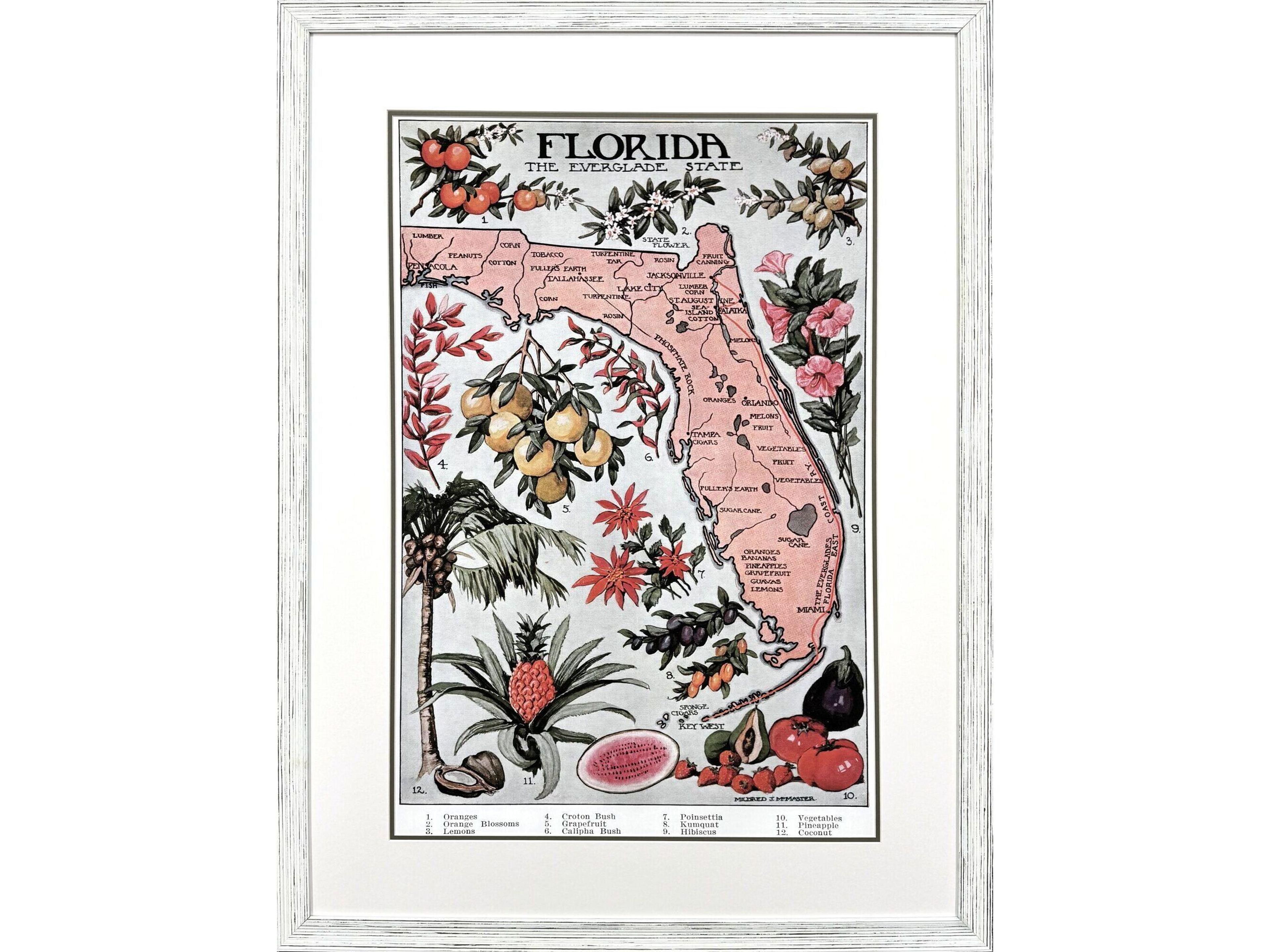 Paragon Vintage Florida Map Framed Art