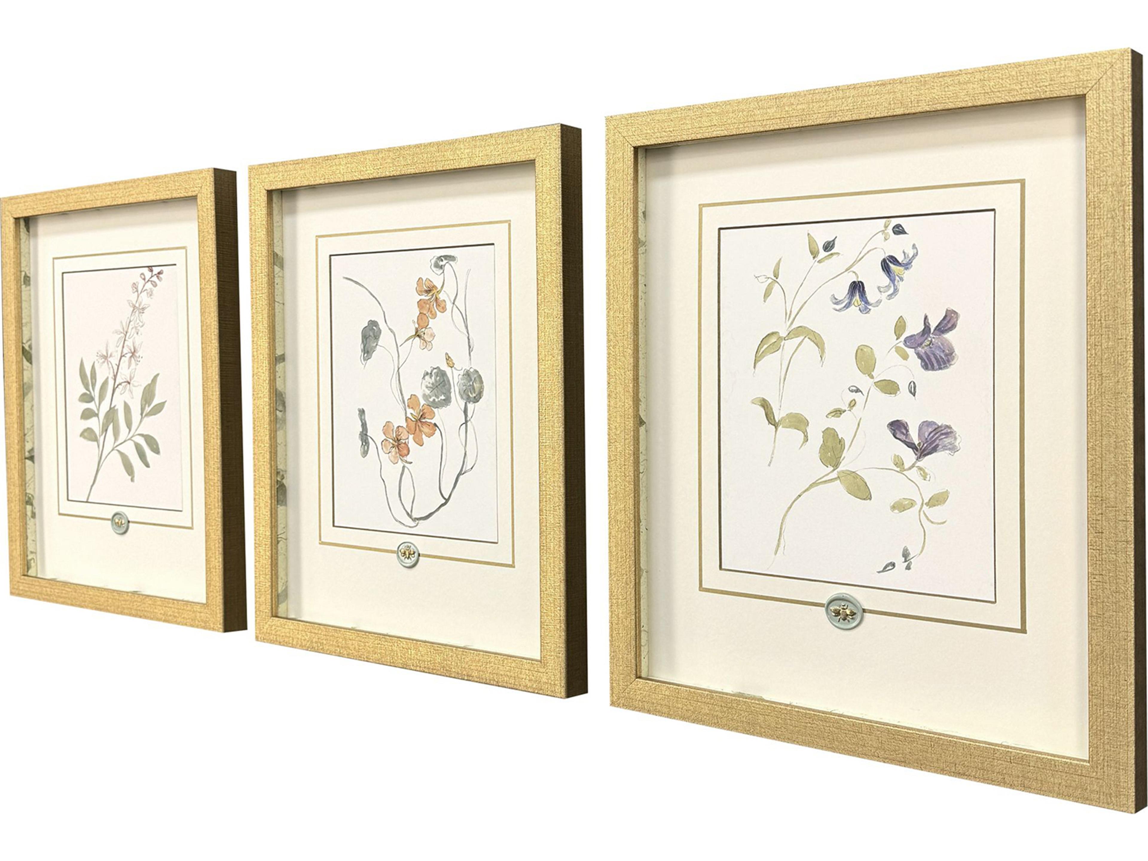 Paragon Garden Study I Framed Art - Set of 3
