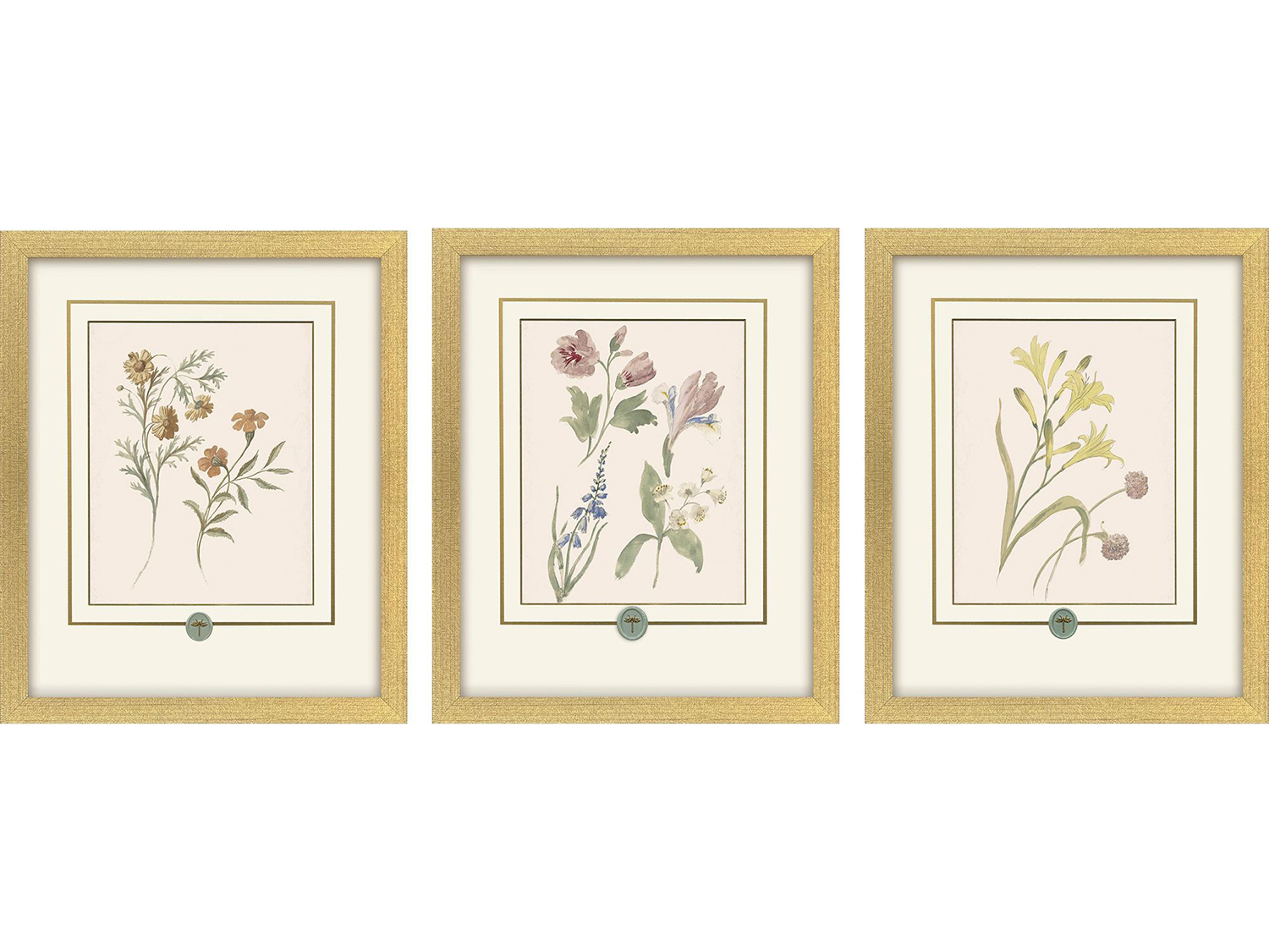 Paragon Garden Study II Framed Art - Set of 3