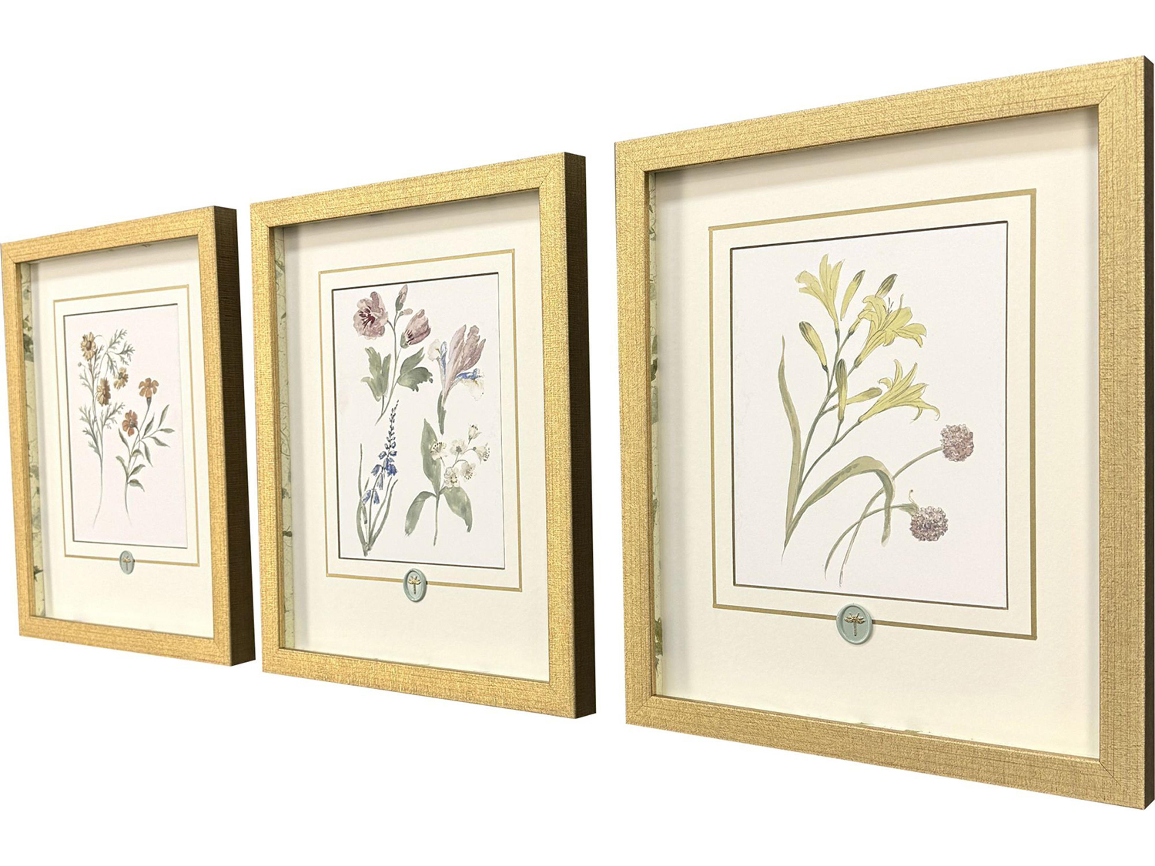 Paragon Garden Study II Framed Art - Set of 3
