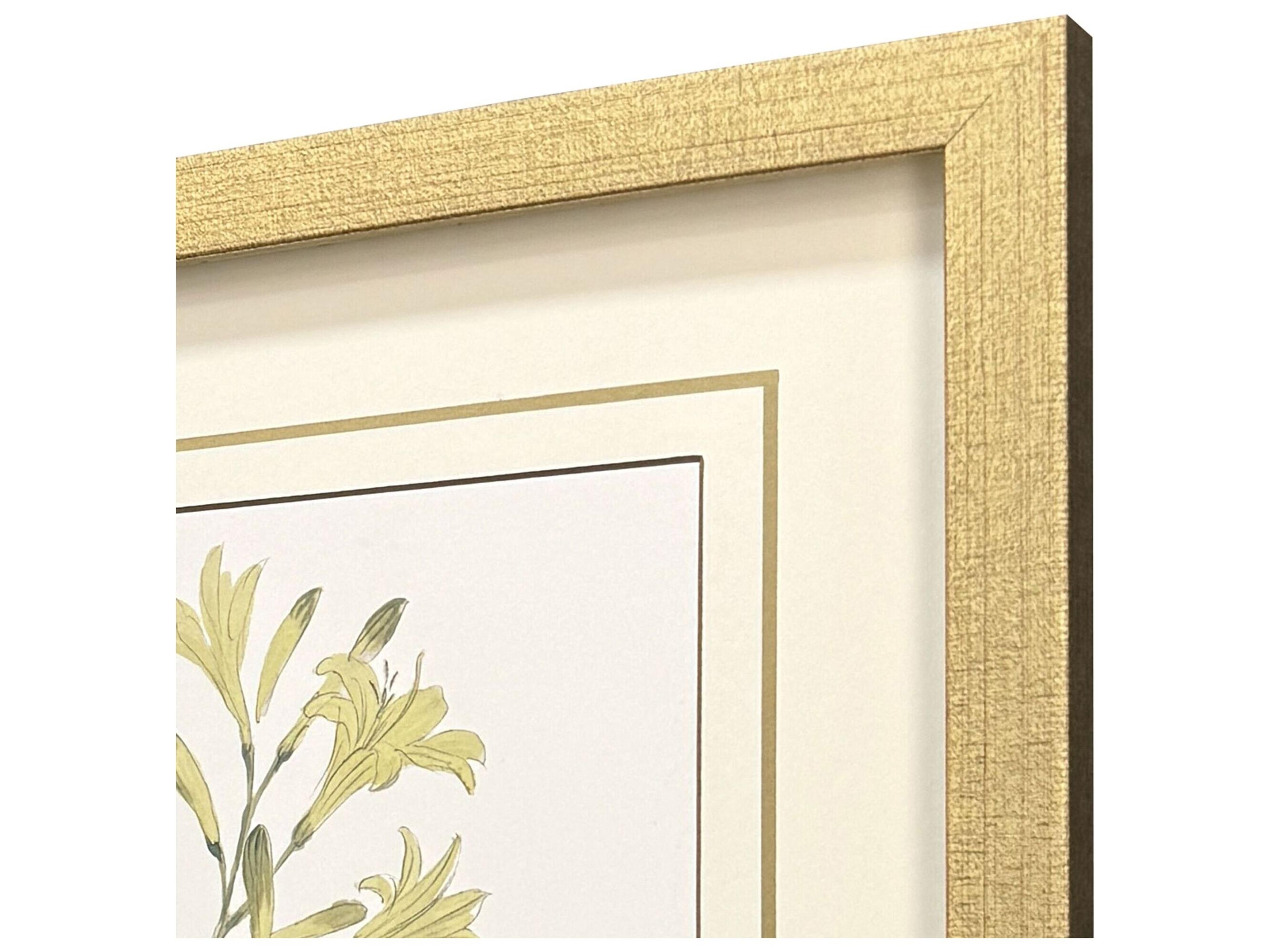 Paragon Garden Study II Framed Art - Set of 3