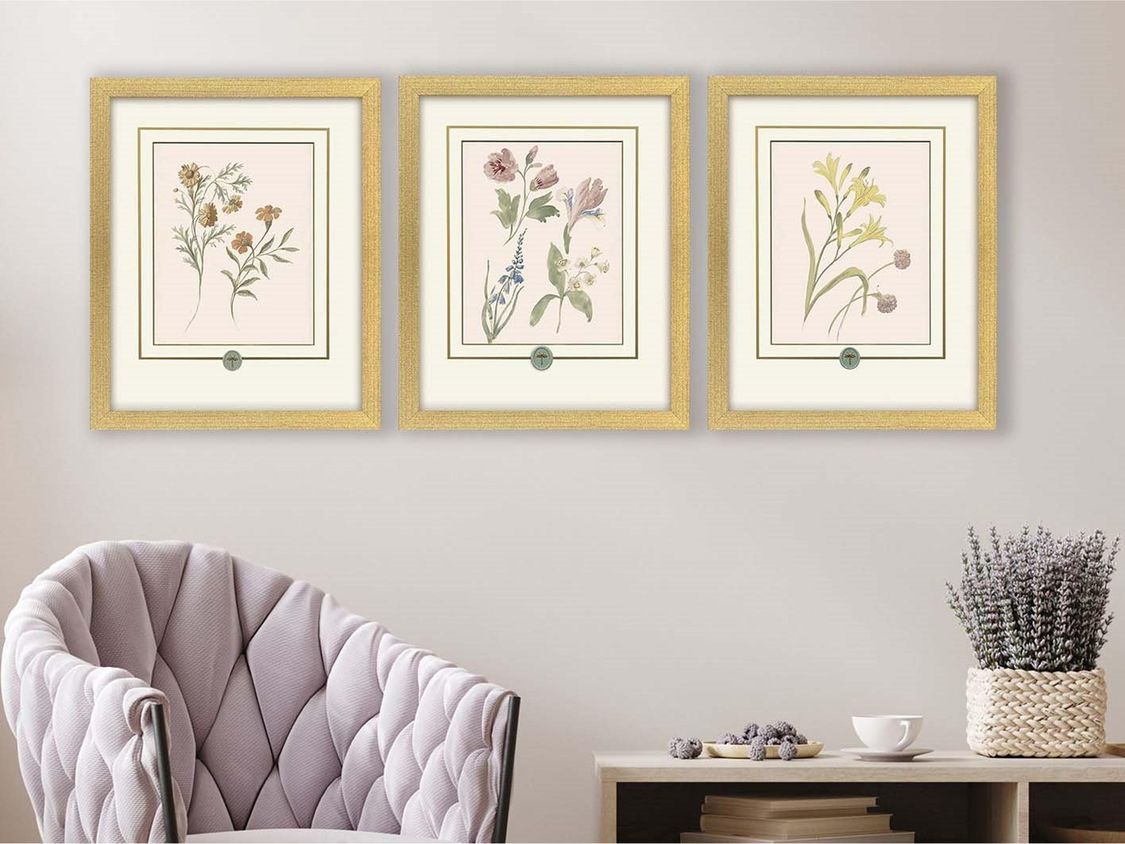 Paragon Garden Study II Framed Art - Set of 3