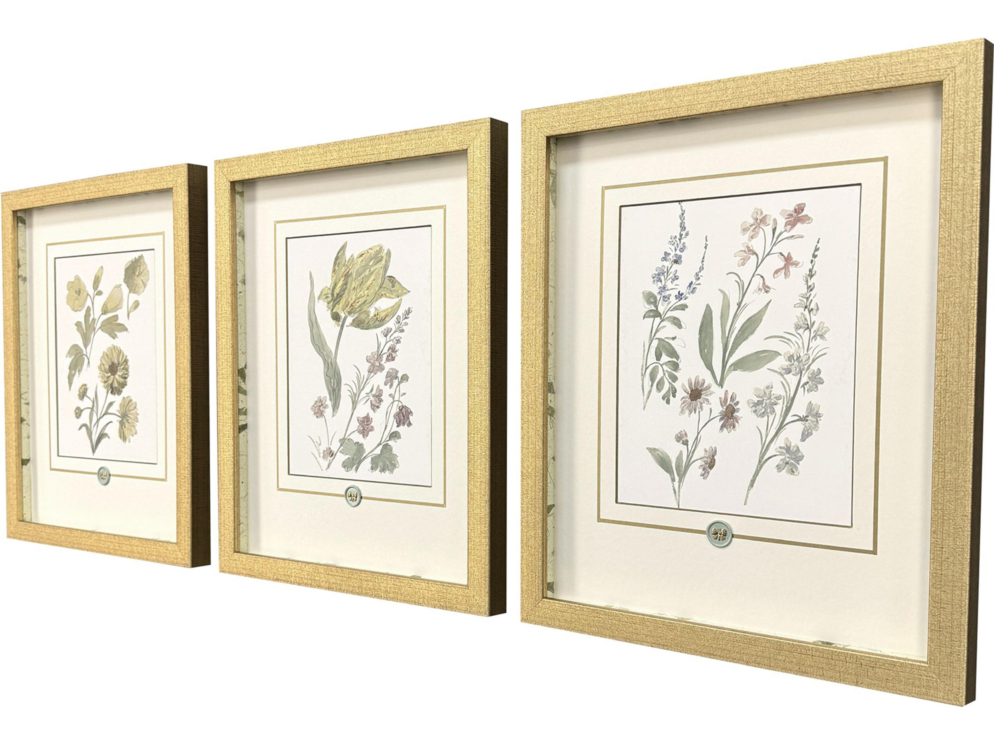 Paragon Garden Study III Framed Art - Set of 3
