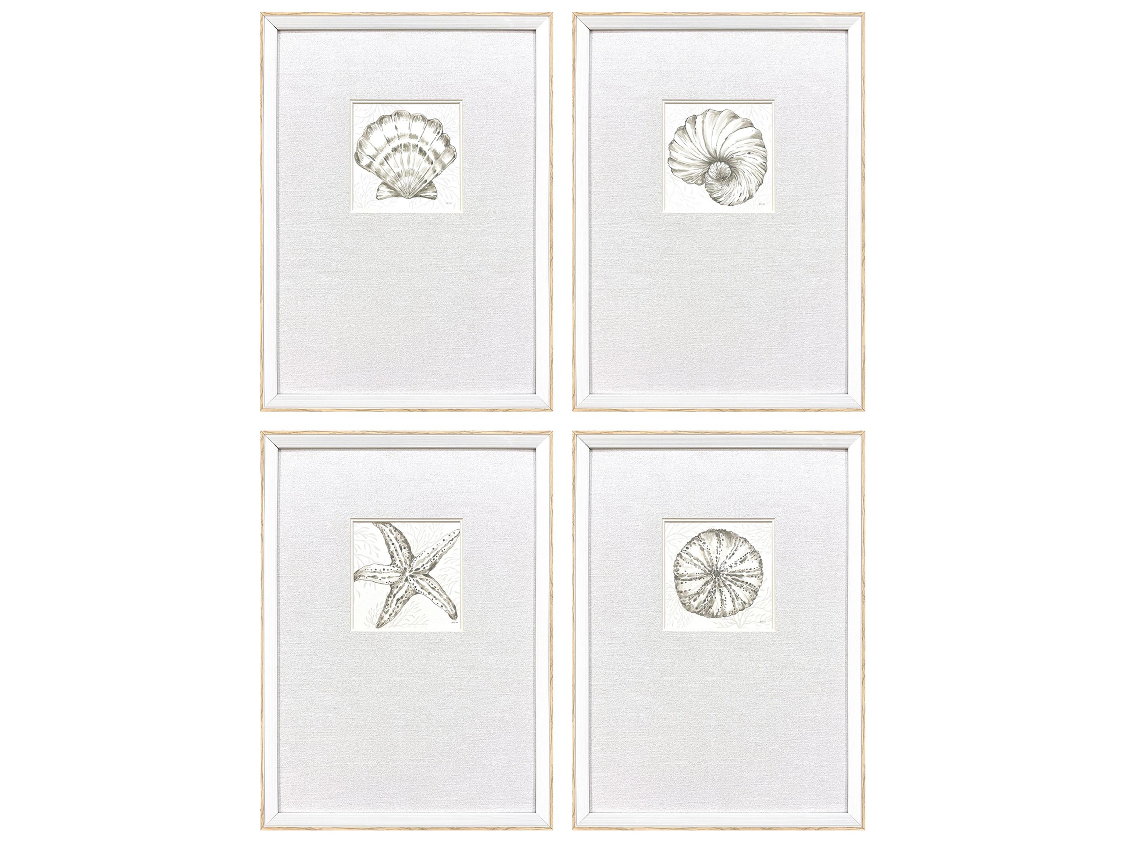 Coastal Reef Framed Art - Set of 4