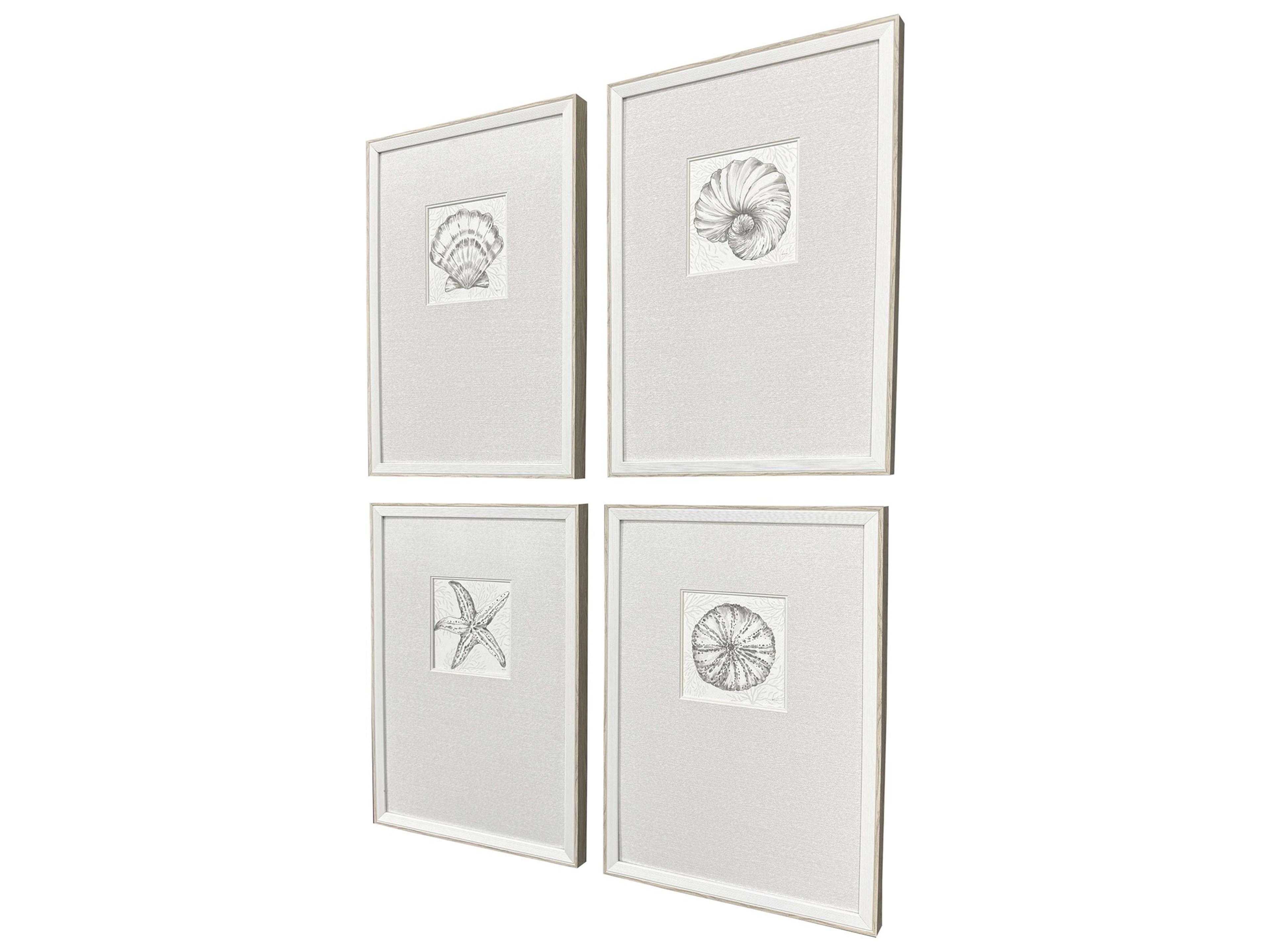 Paragon Coastal Reef Framed Art - Set of 4