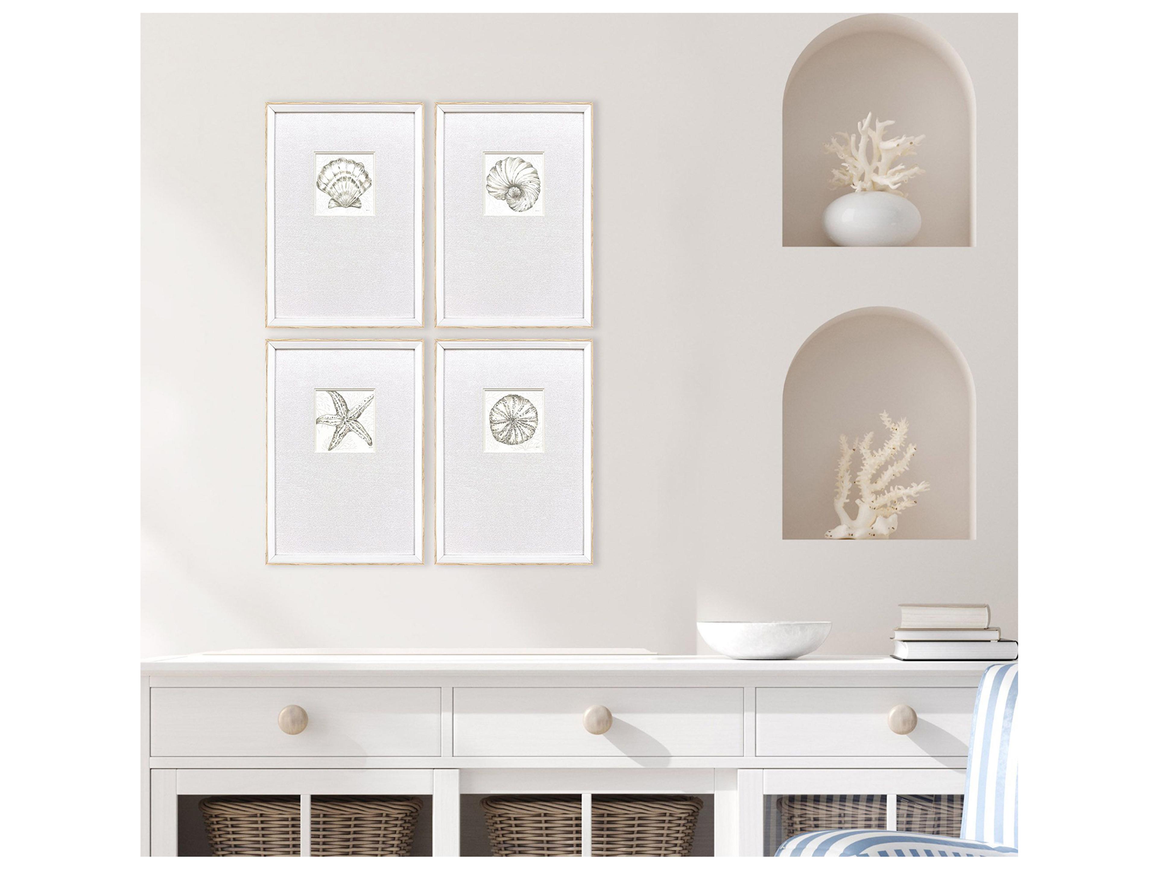 Paragon Coastal Reef Framed Art - Set of 4