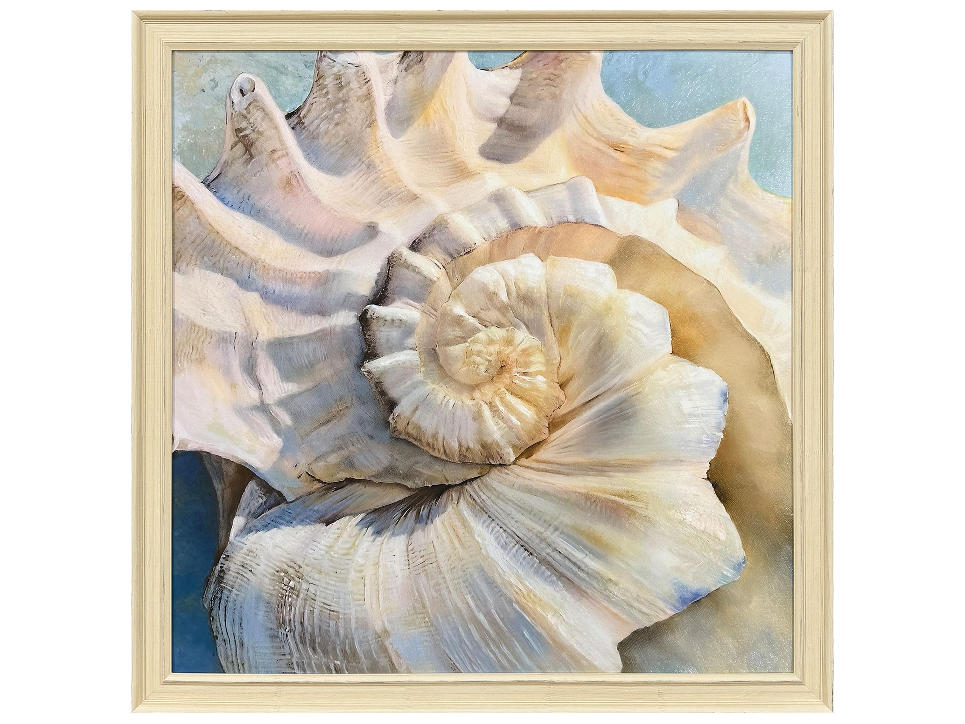 Paragon Center Shell Framed Art