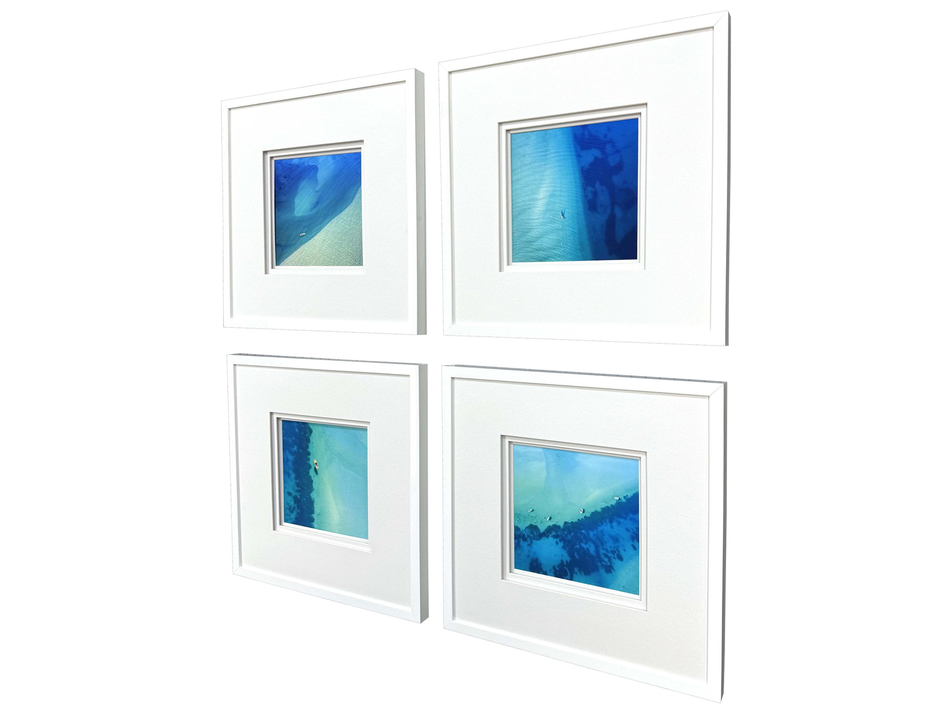 Paragon Nature From Above Framed Art - Set of 4