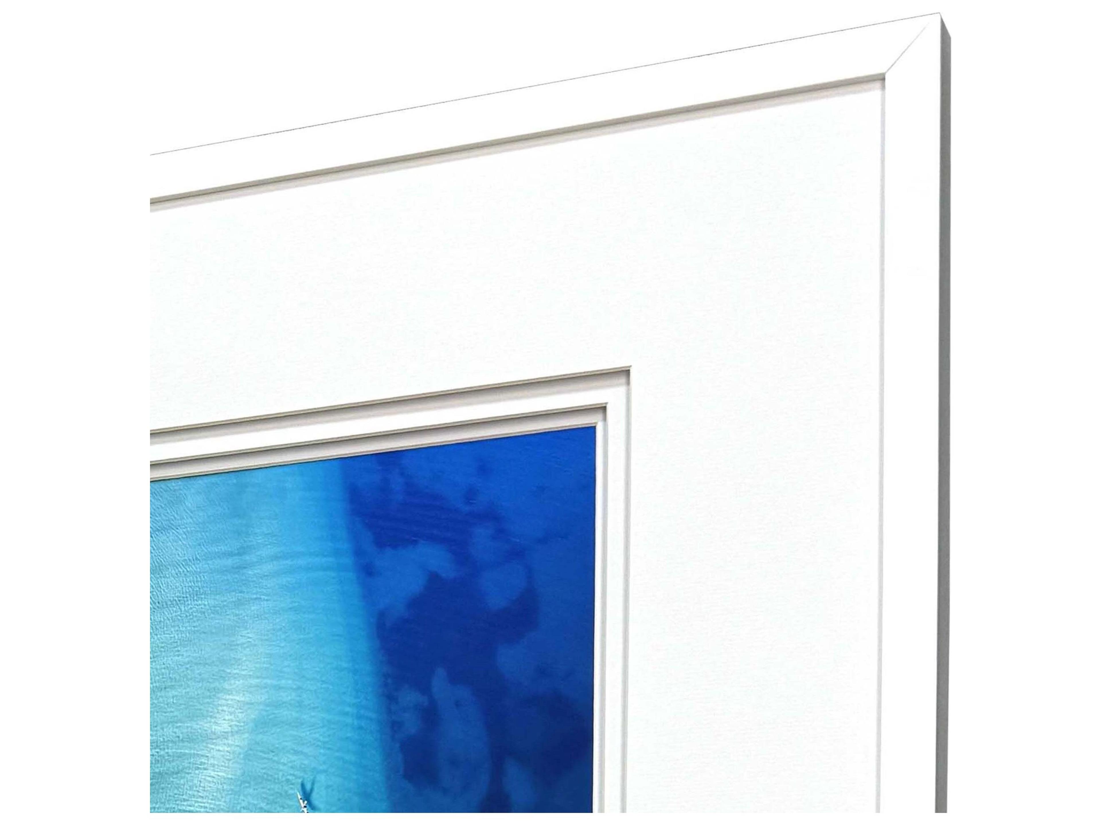 Paragon Nature From Above Framed Art - Set of 4