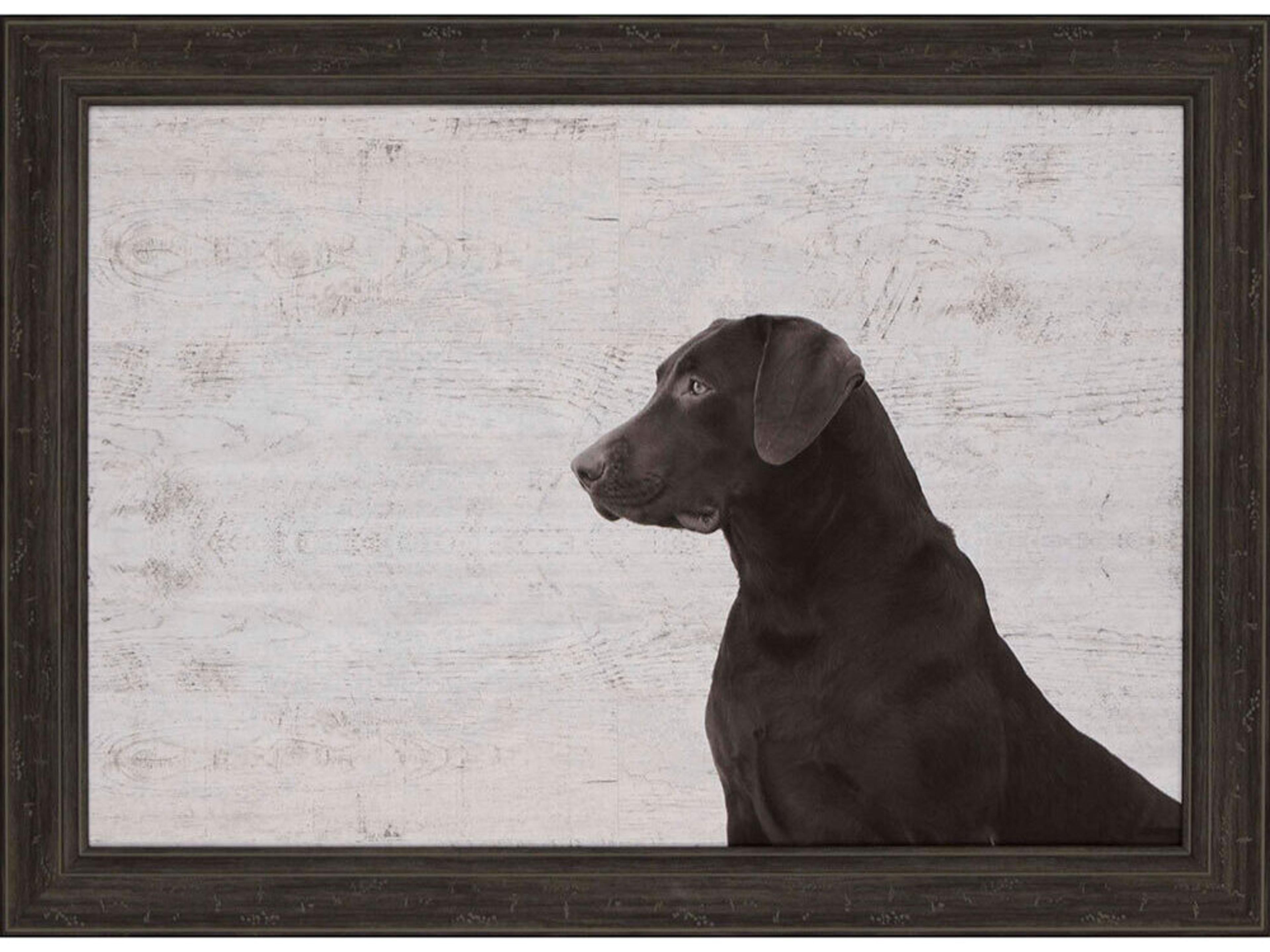 Animals I See You Wall Art