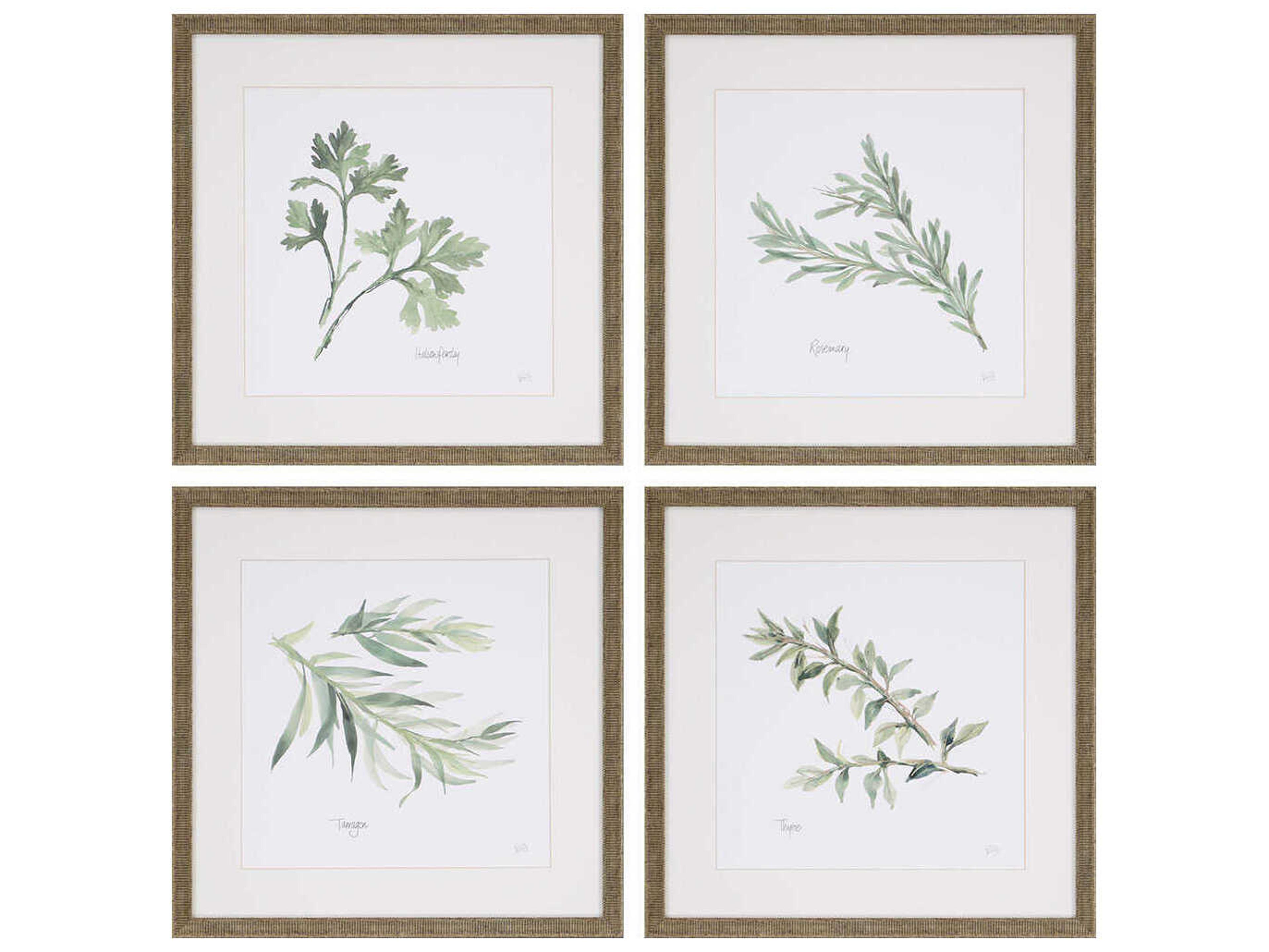 Culinary Herbs Wall Art Set of 4