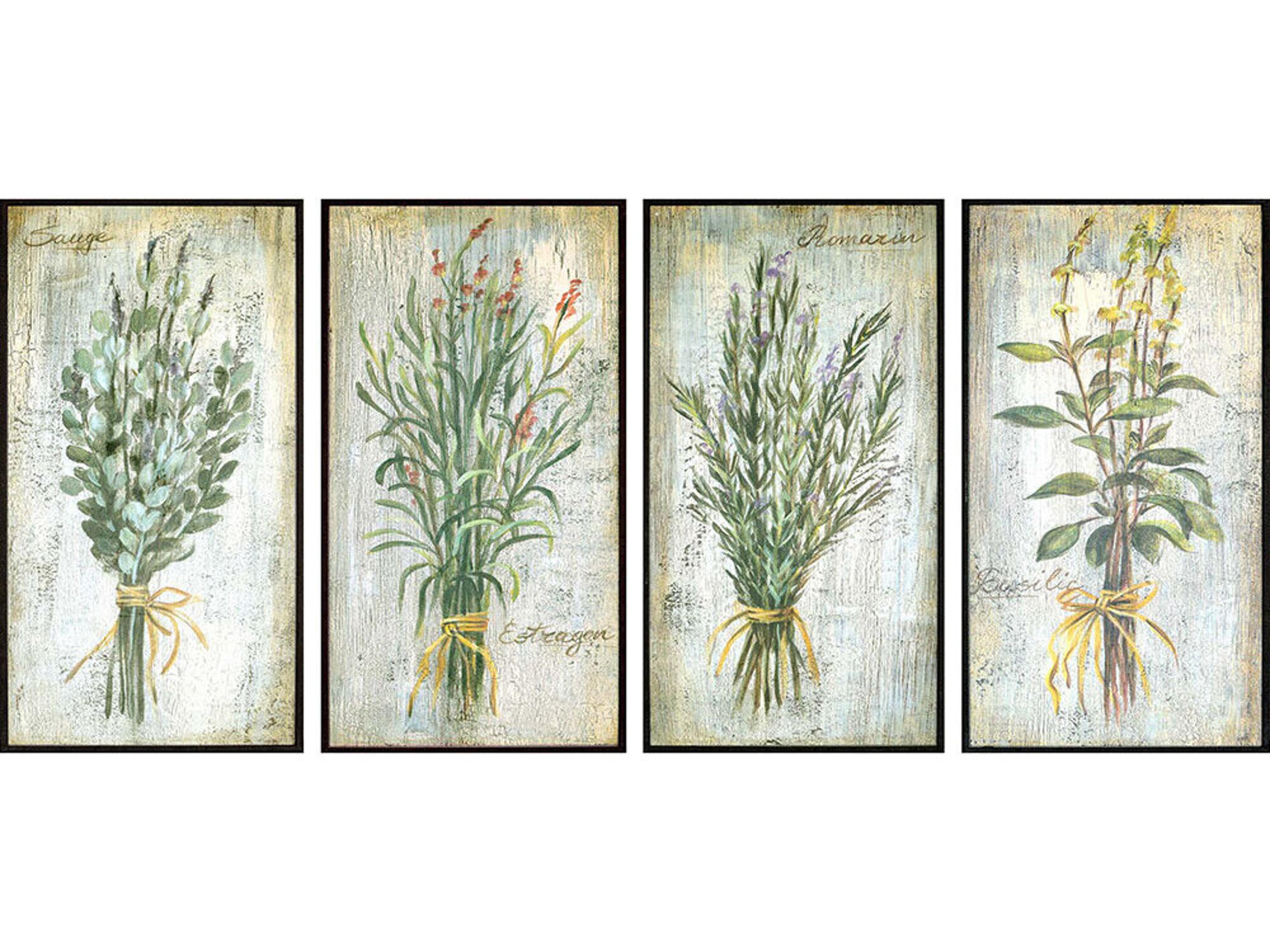 Paragon Florals Herbs Wall Art Set of 4