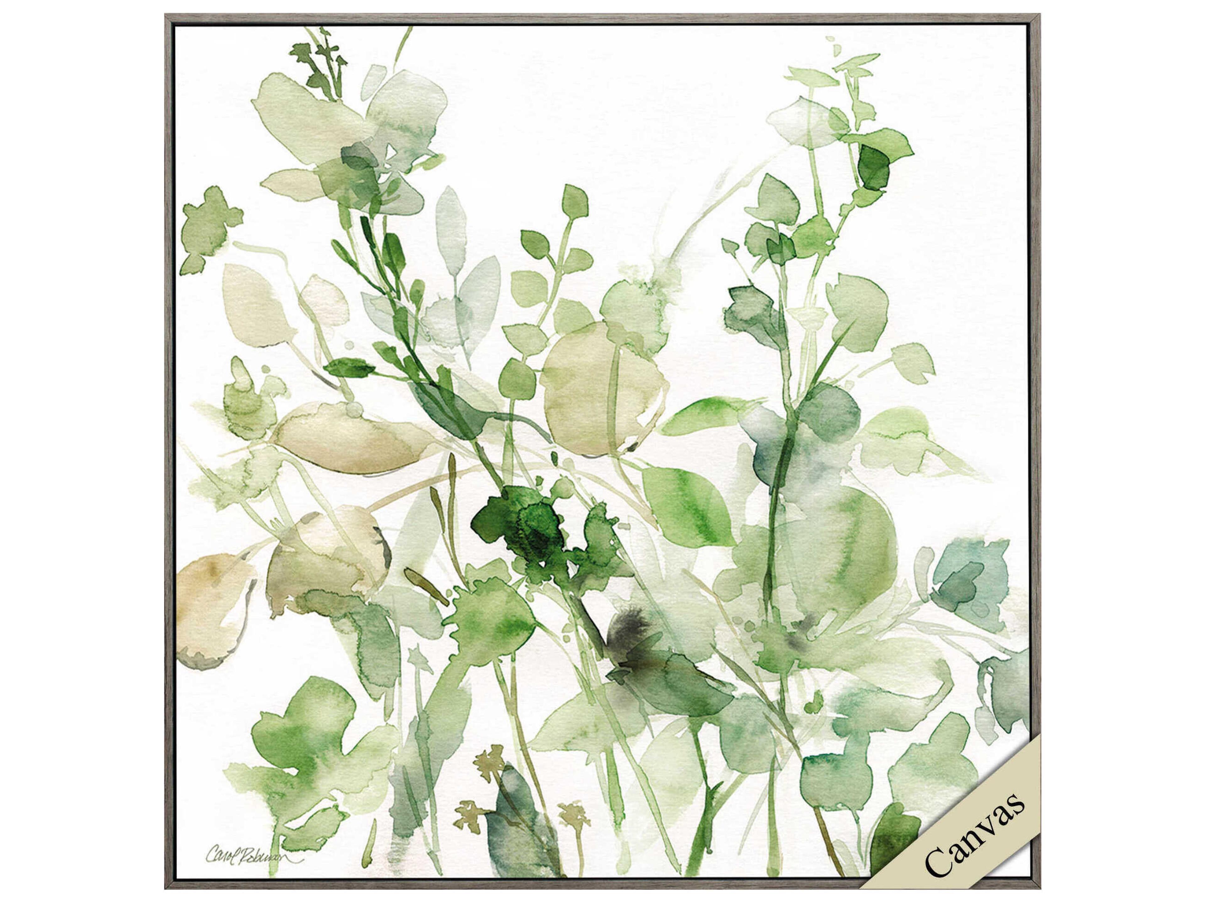 Paragon Florals Sage Garden-II Canvas Wall Art