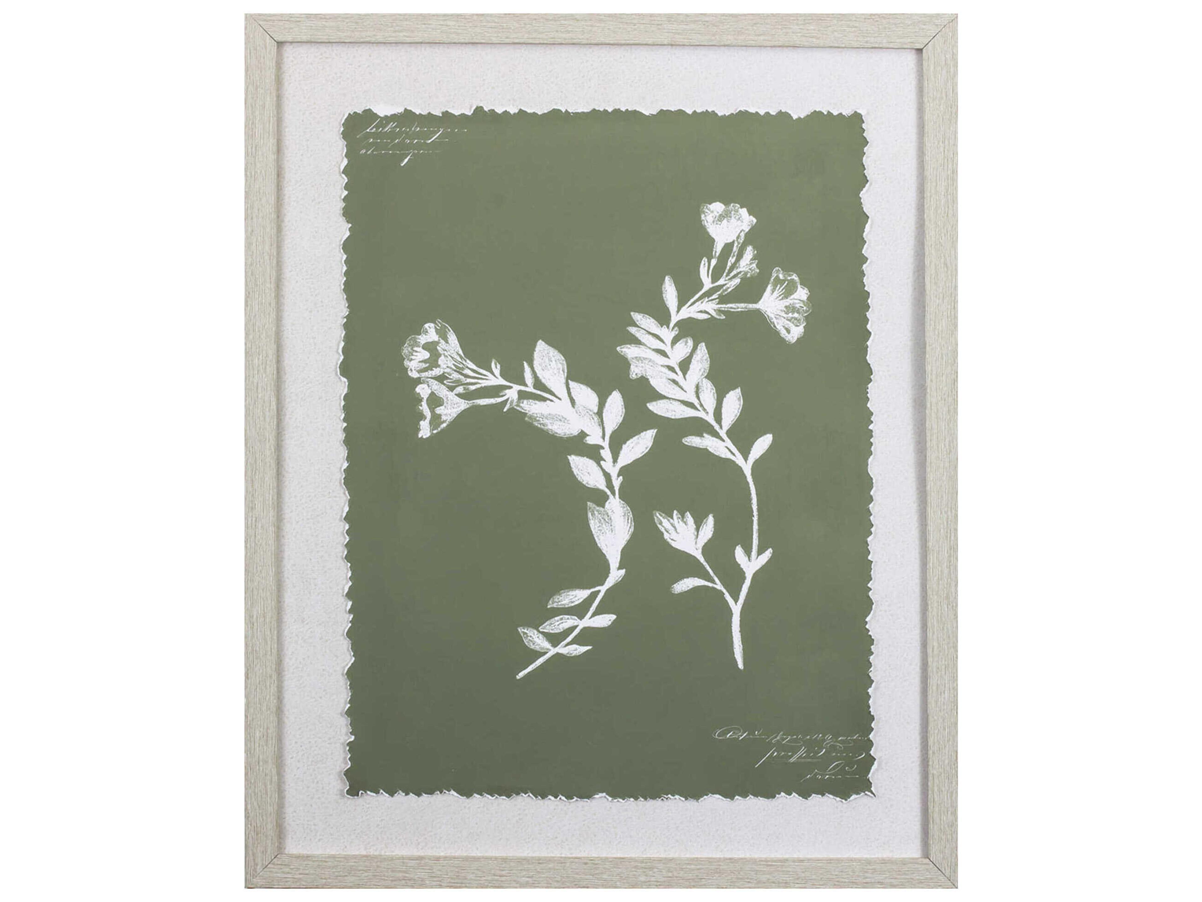 Paragon Florals Botanical Garden-I Wall Art